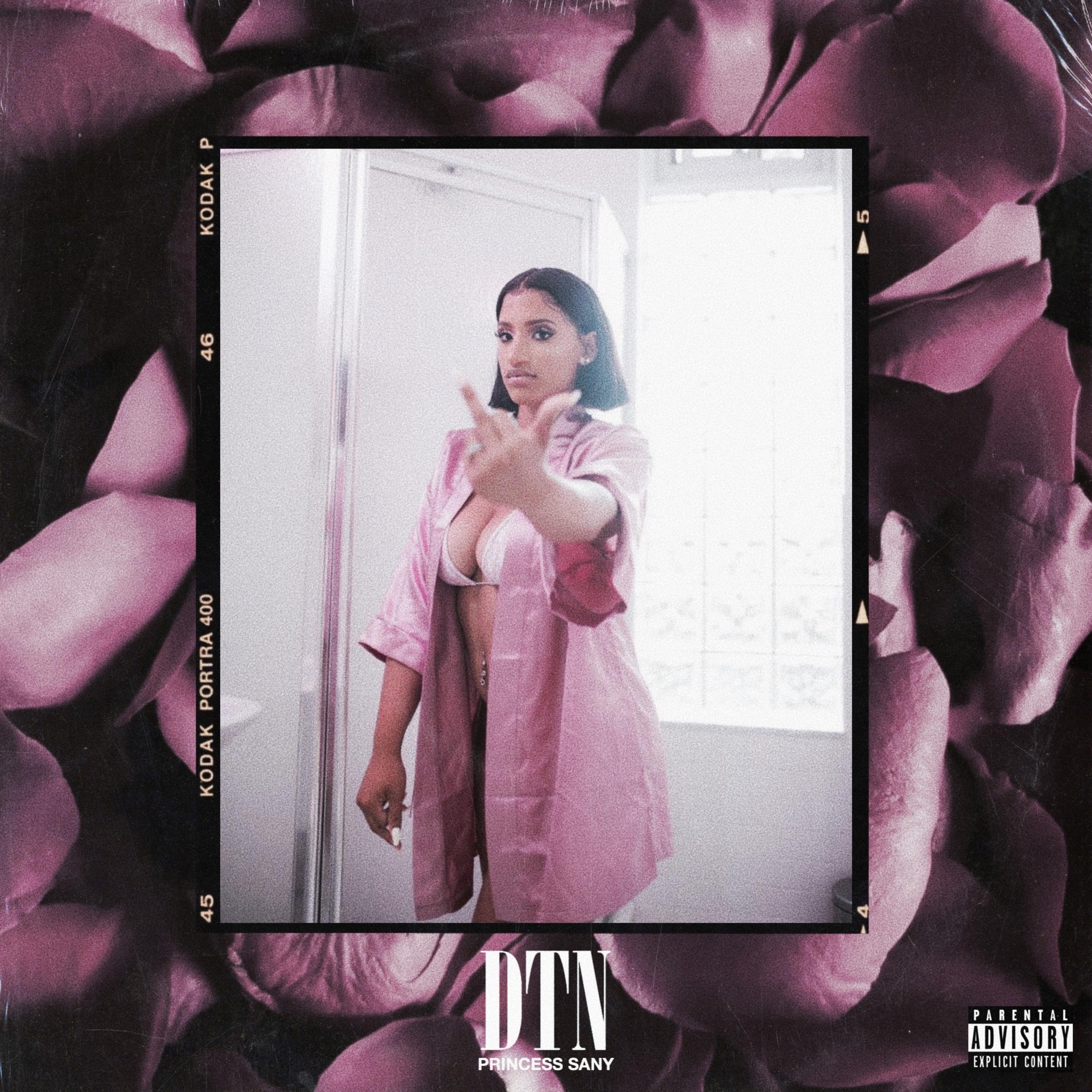 DTN by PRINCESS SANY cover art