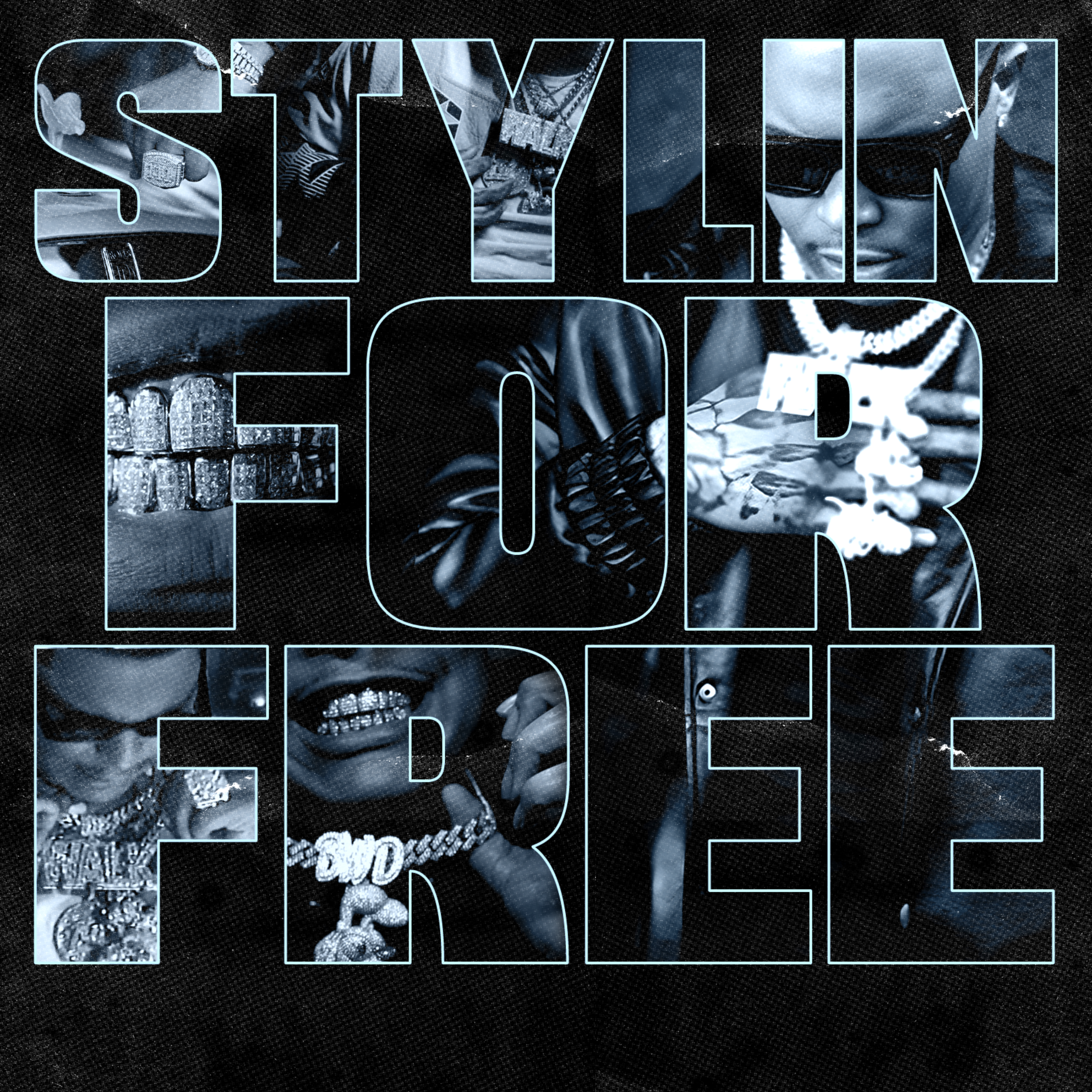 Stylin for Free artwork