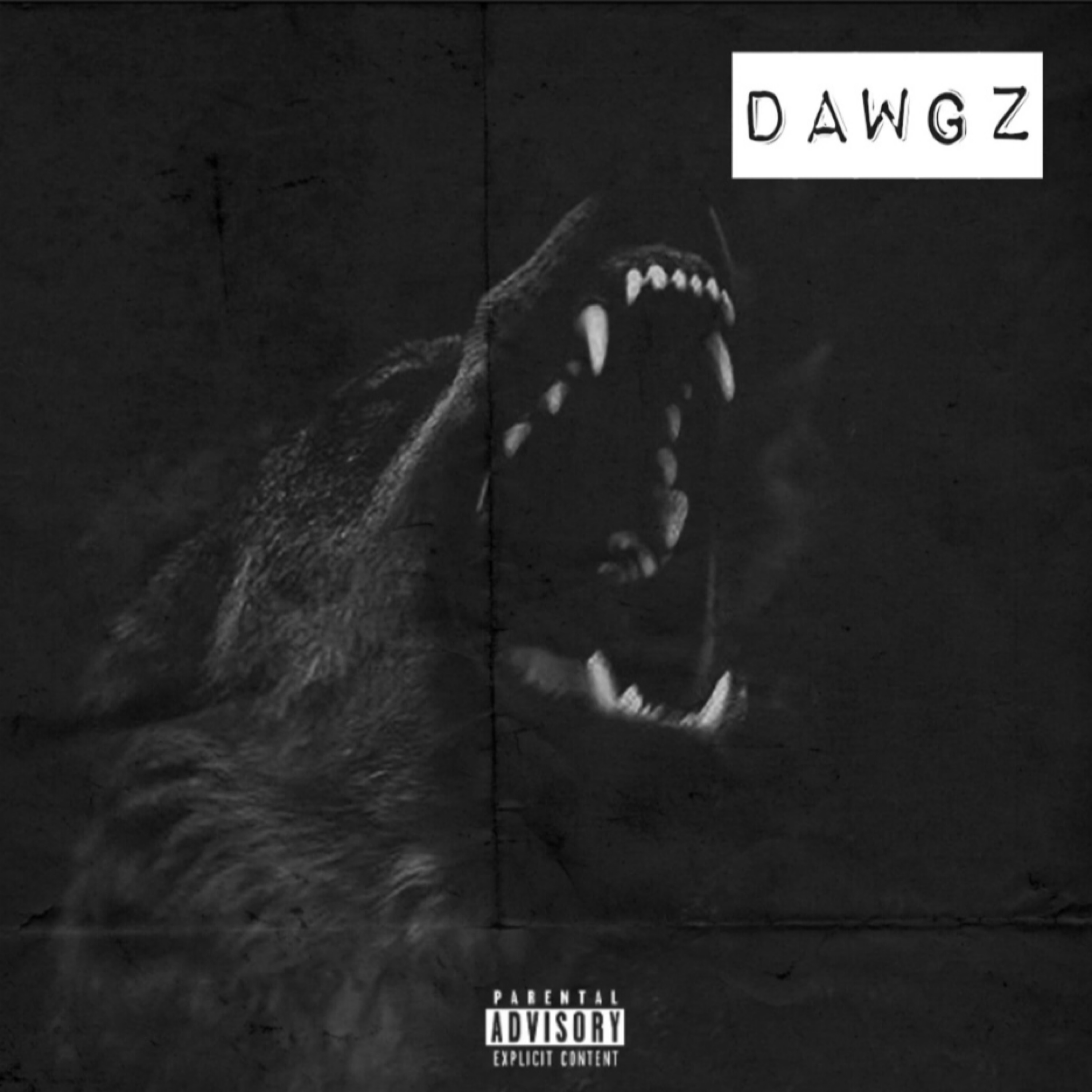 Dawgz artwork