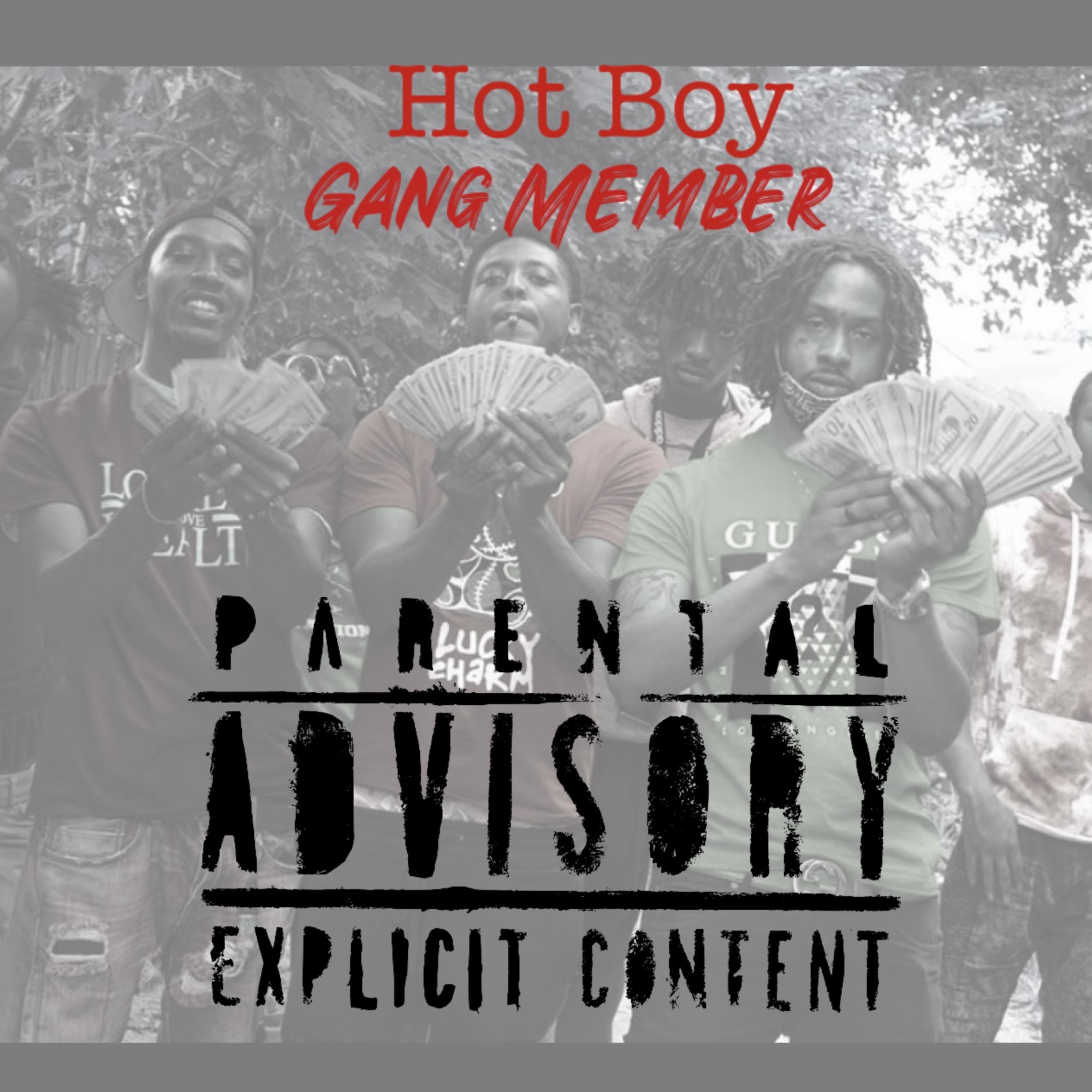 Gang Member artwork