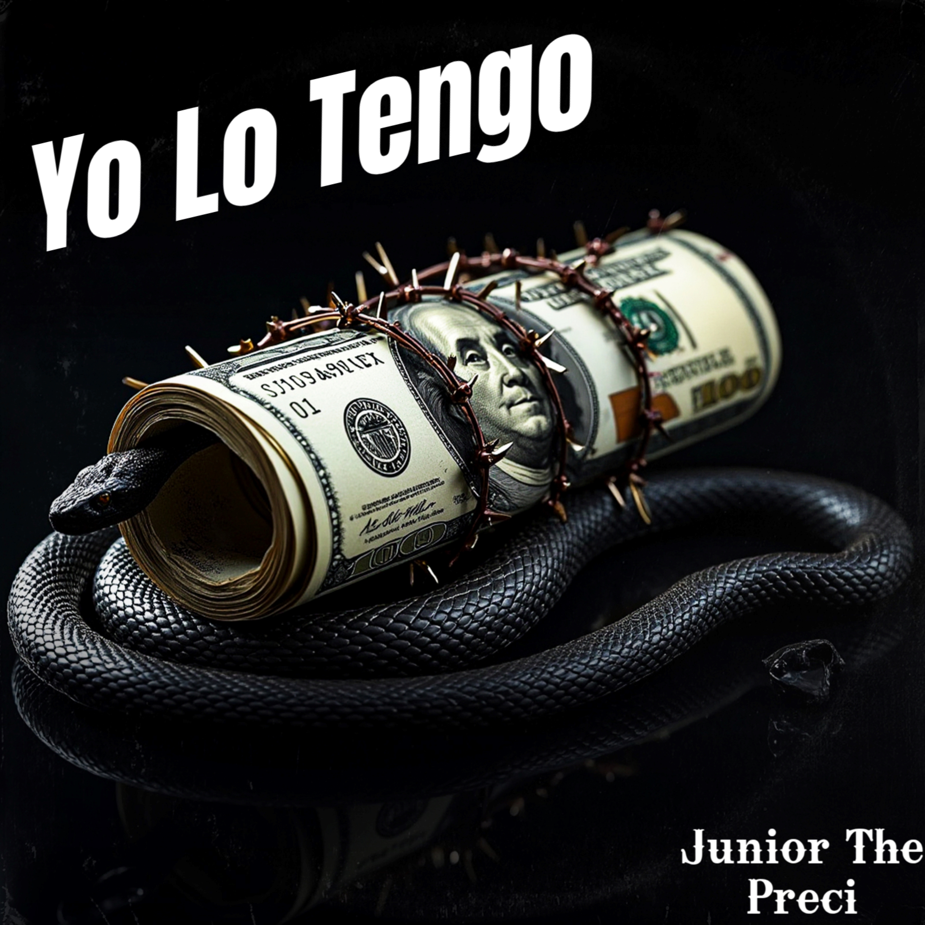 Yo Lo Tengo artwork
