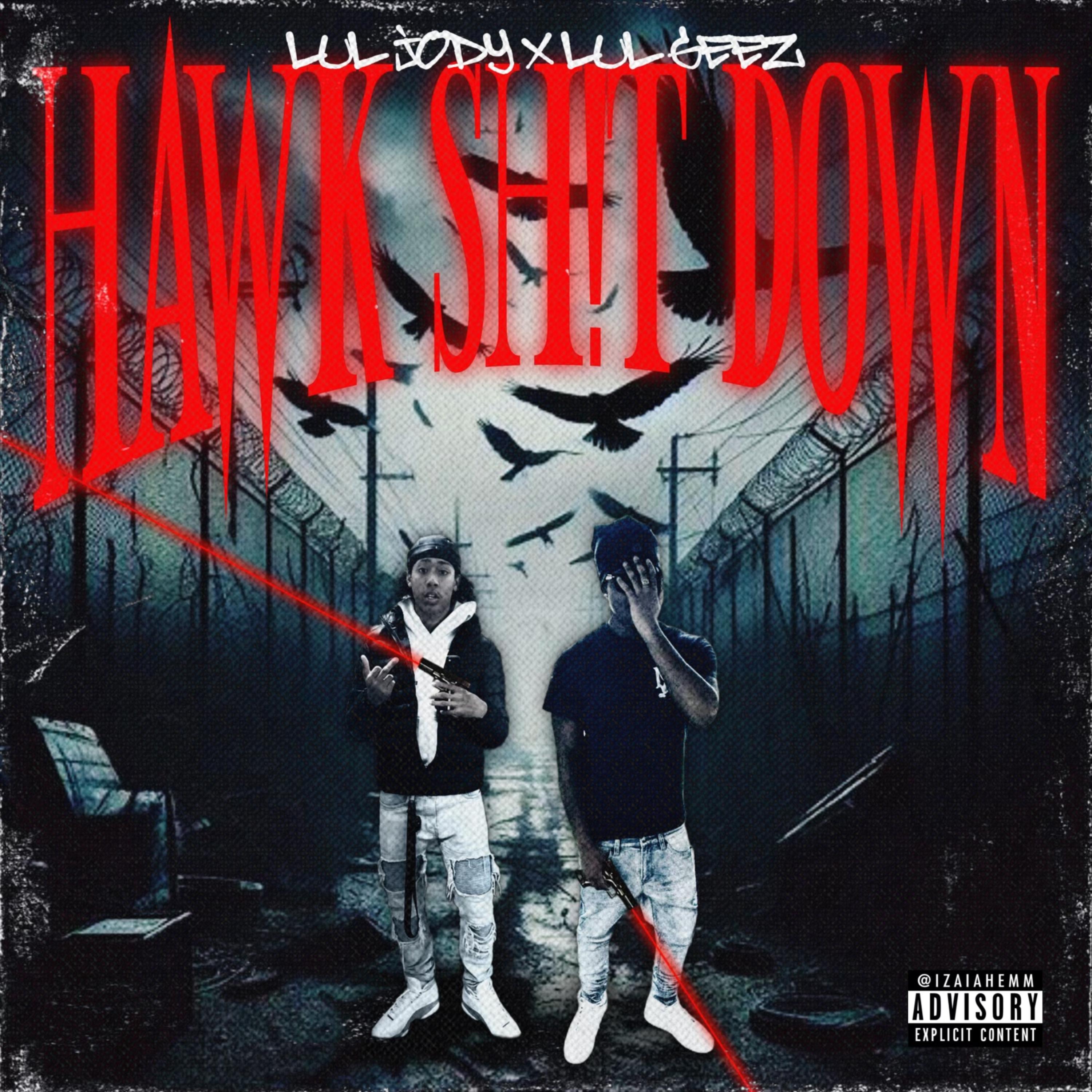 Hawk Shit Down artwork