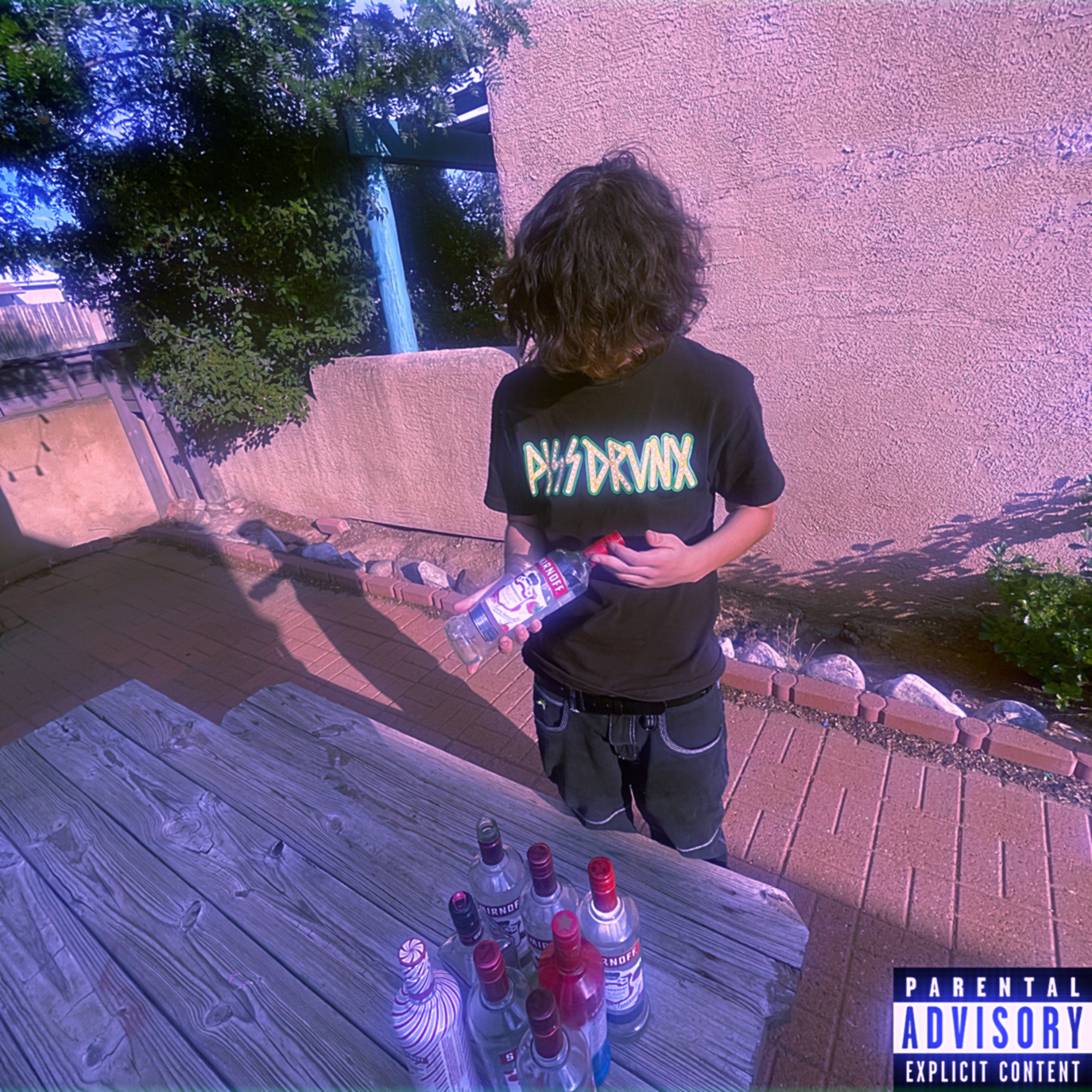 PIZZDRVNX artwork