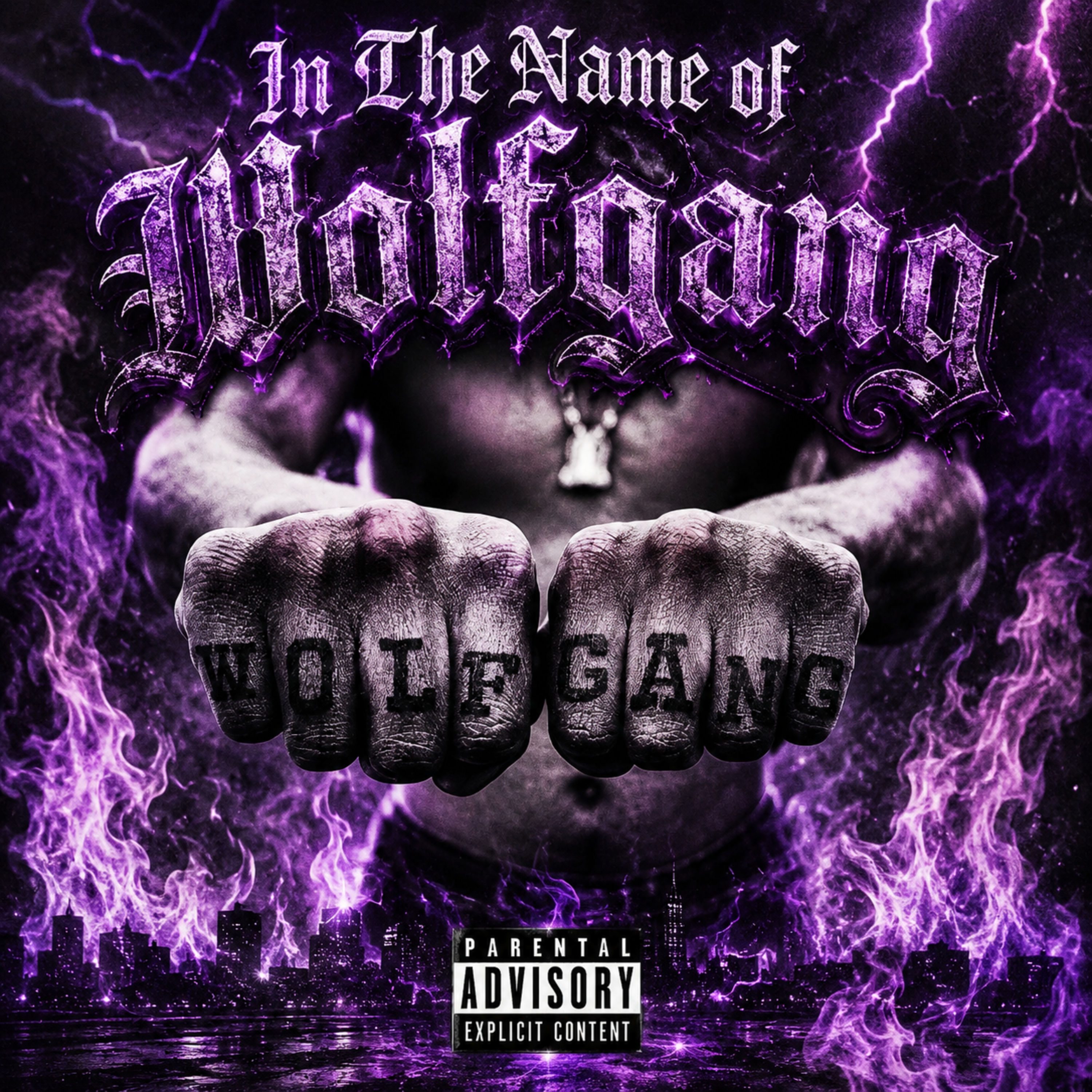 In The Name of Wolfgang by Wolfgang Daniels cover art