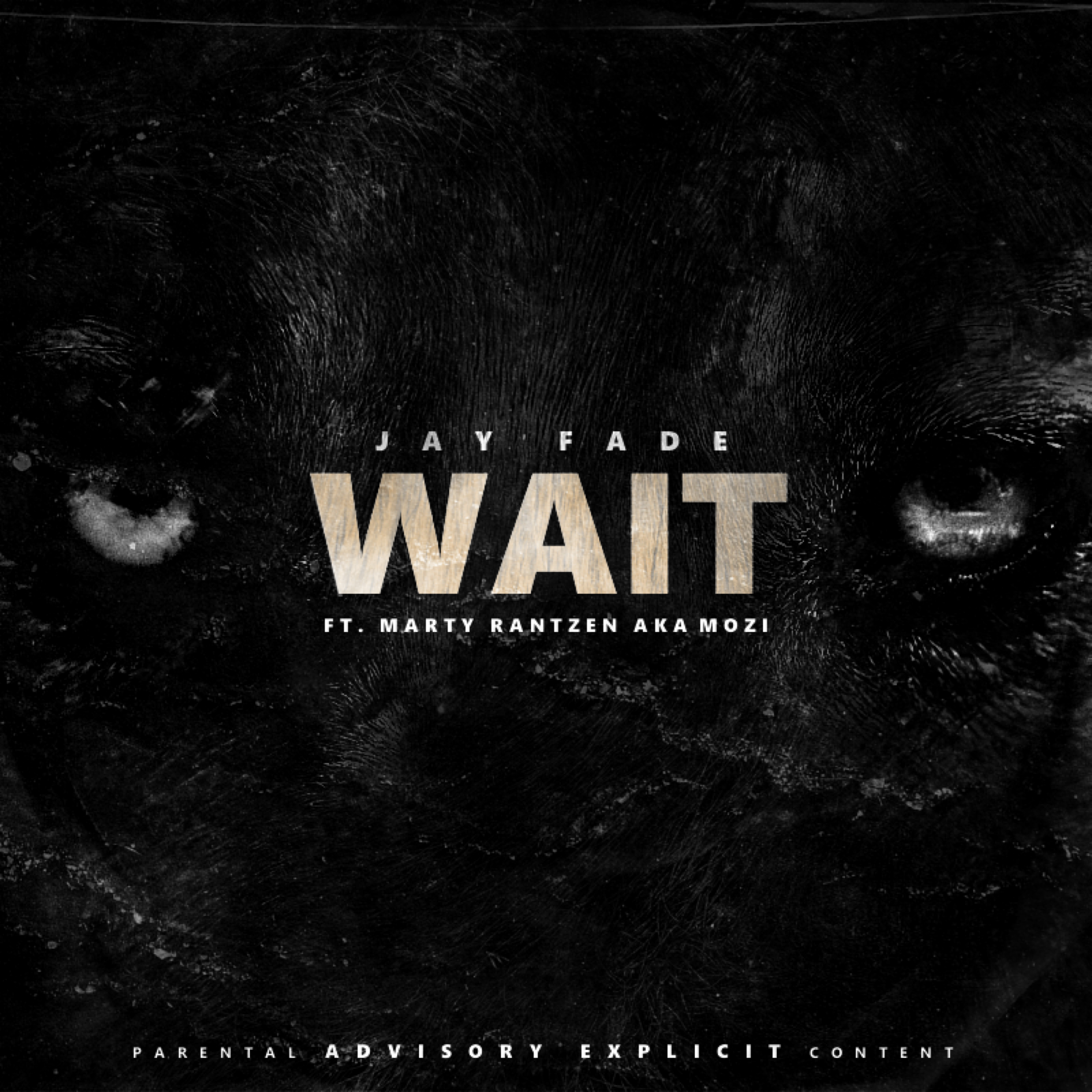 WAIT artwork