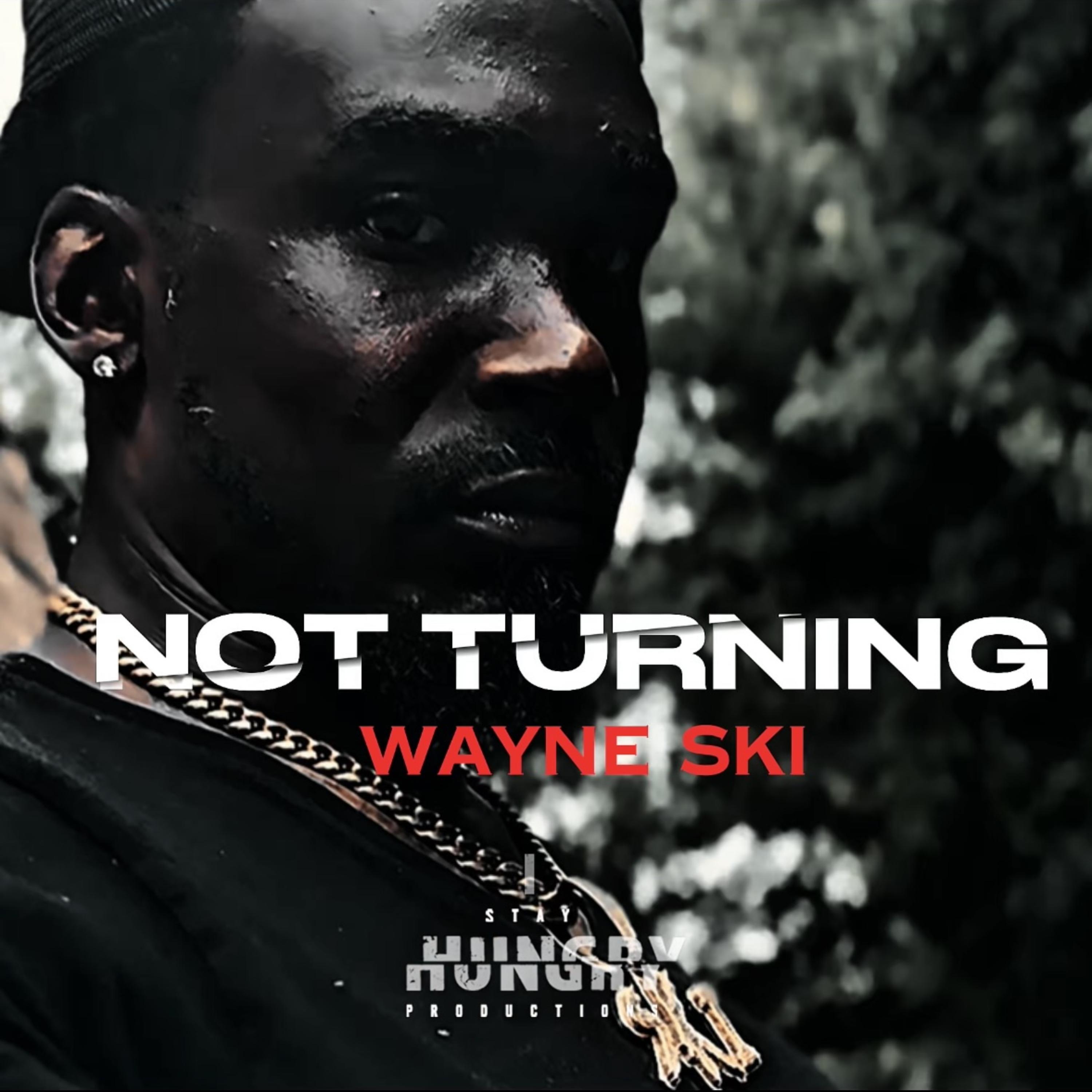 Not Turning by Wayne SKI cover art