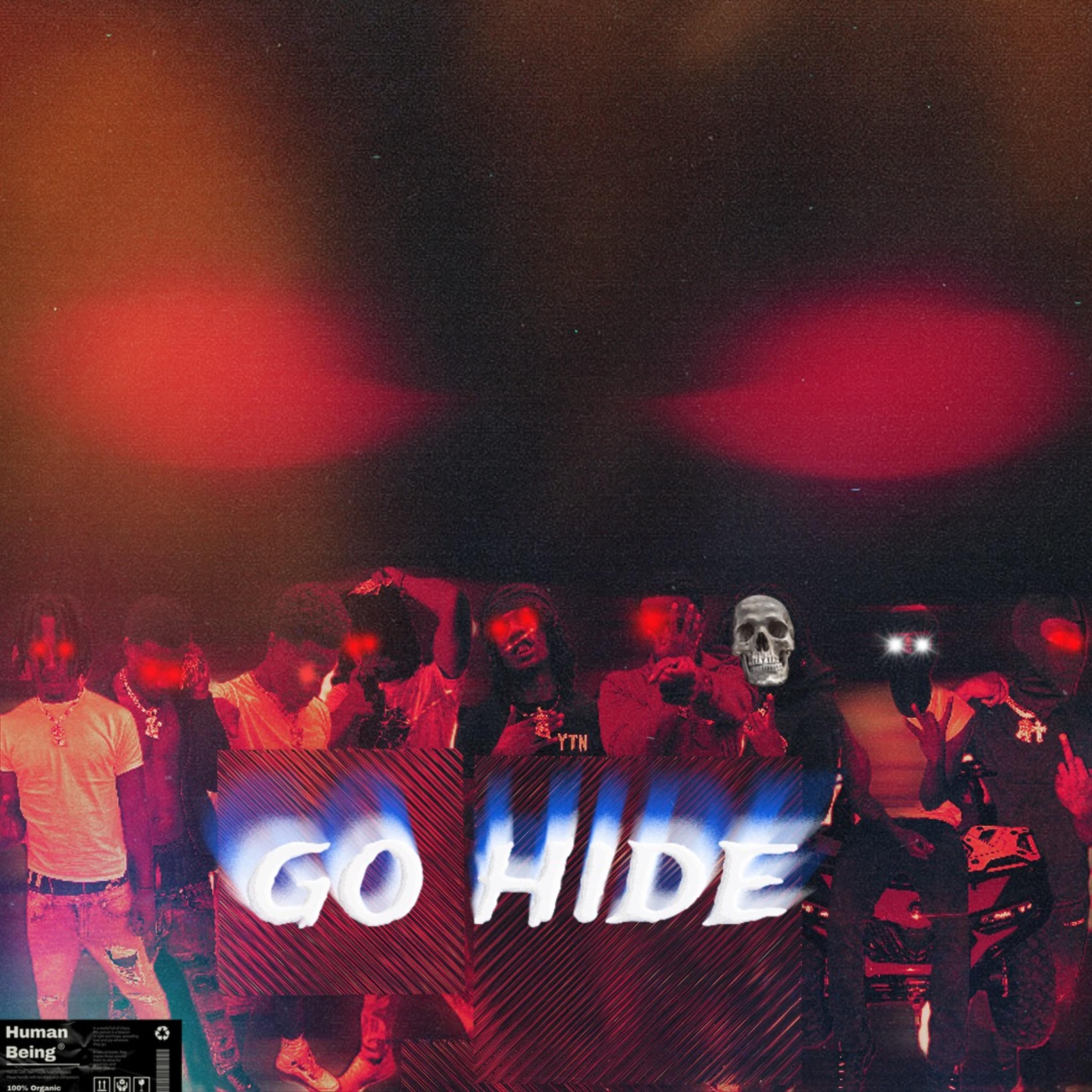 Go Hide artwork