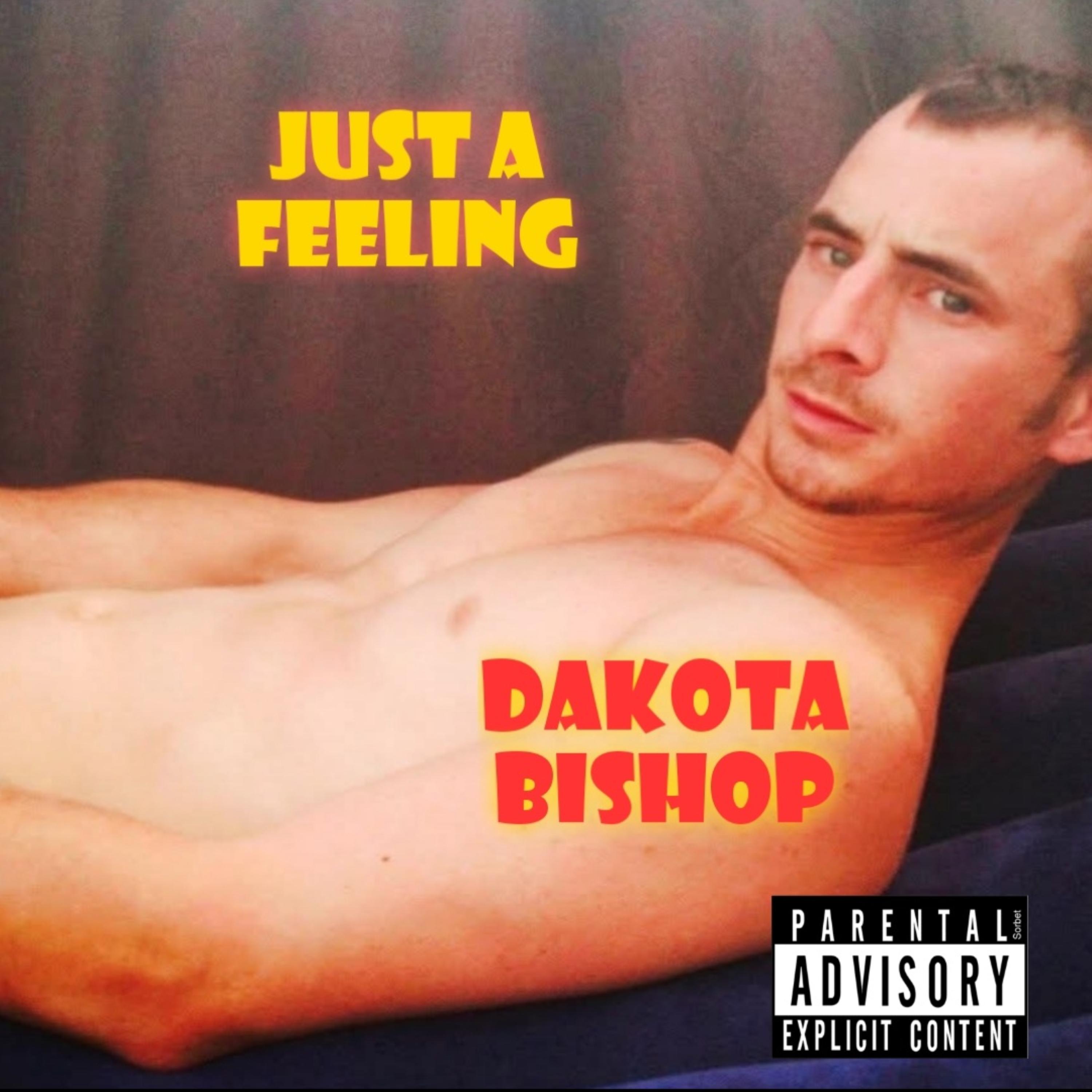 Just A Feeling by Dakota Bishop cover art