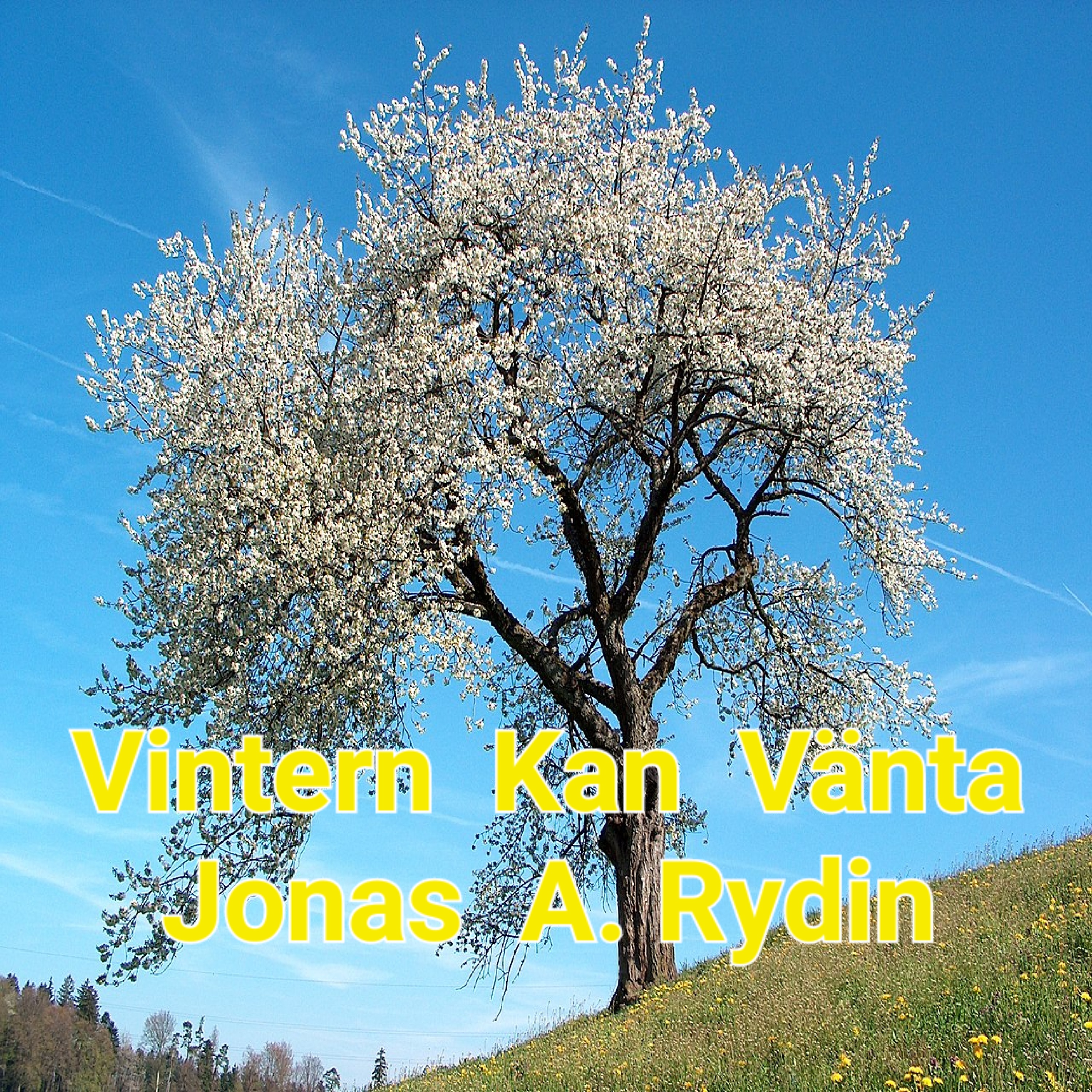 Vintern Kan Vänta by Jonas A. Rydin  cover art