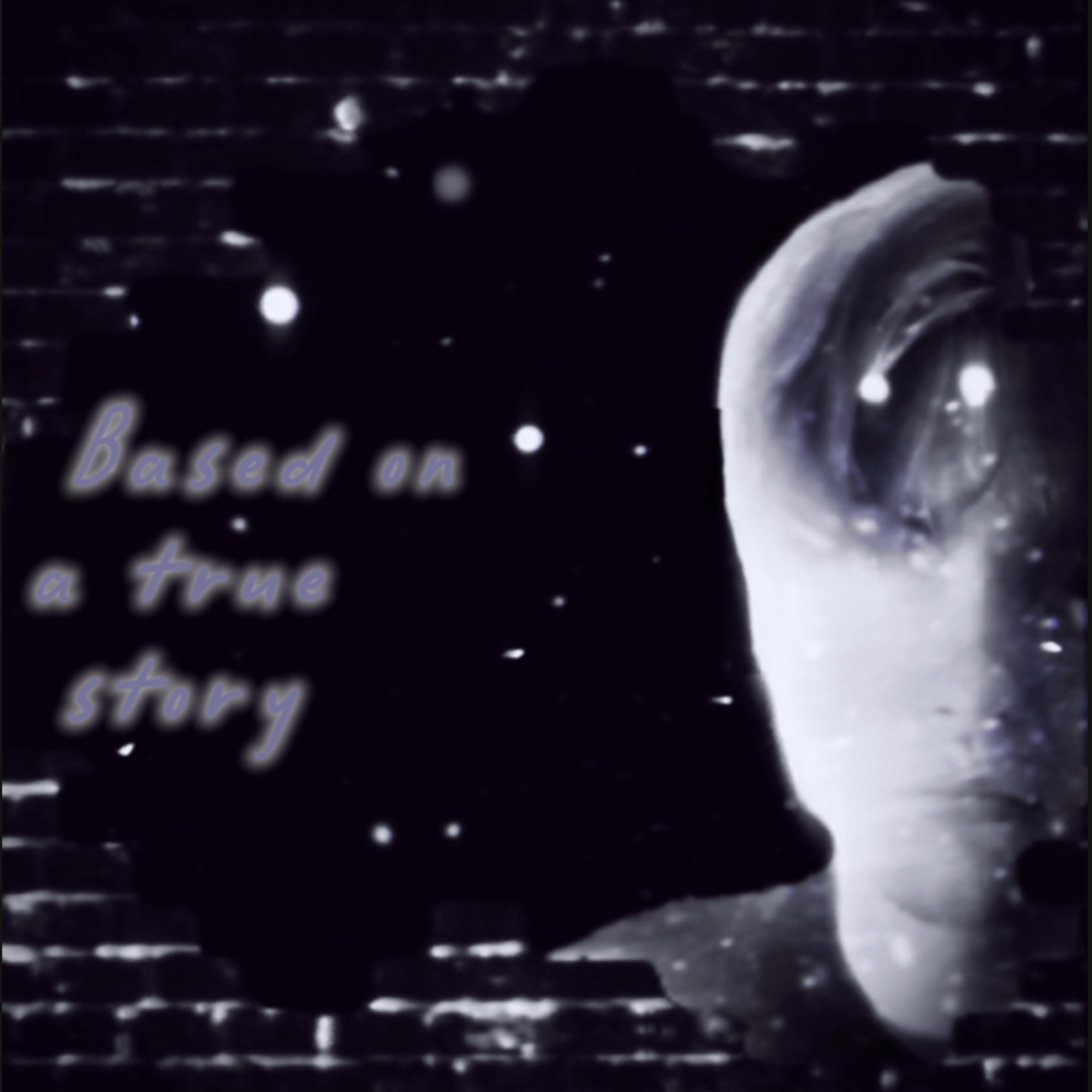 BASED ON A TRUE STORY artwork