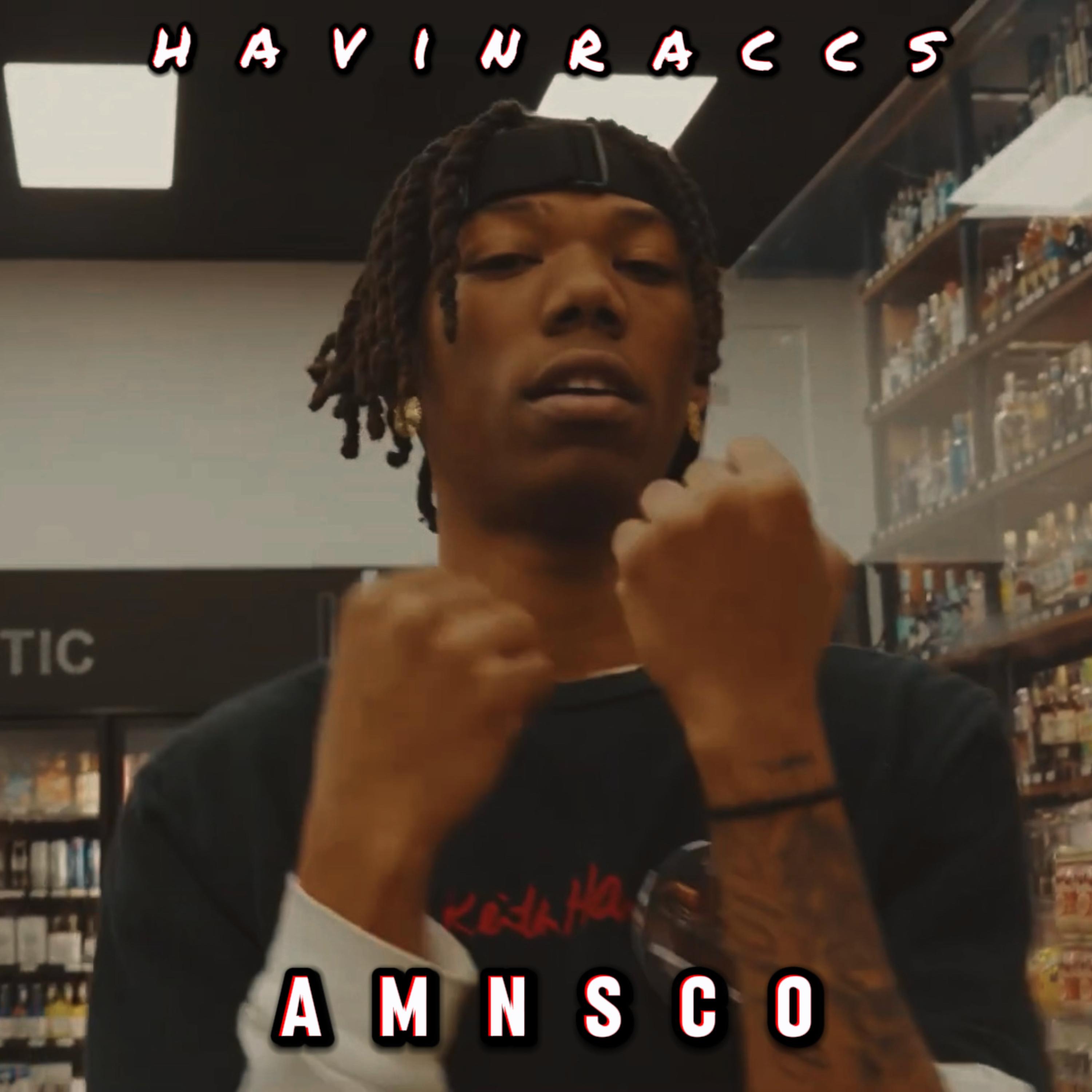 HavinRaccs artwork