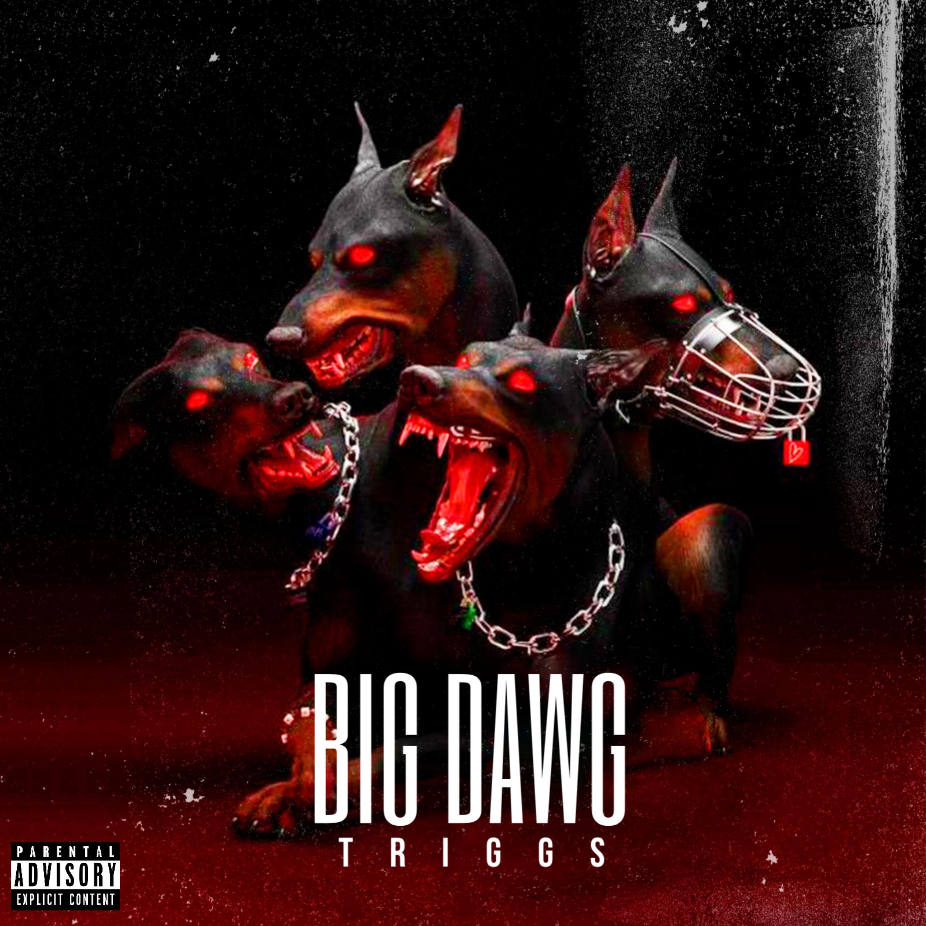 Big Dawg artwork