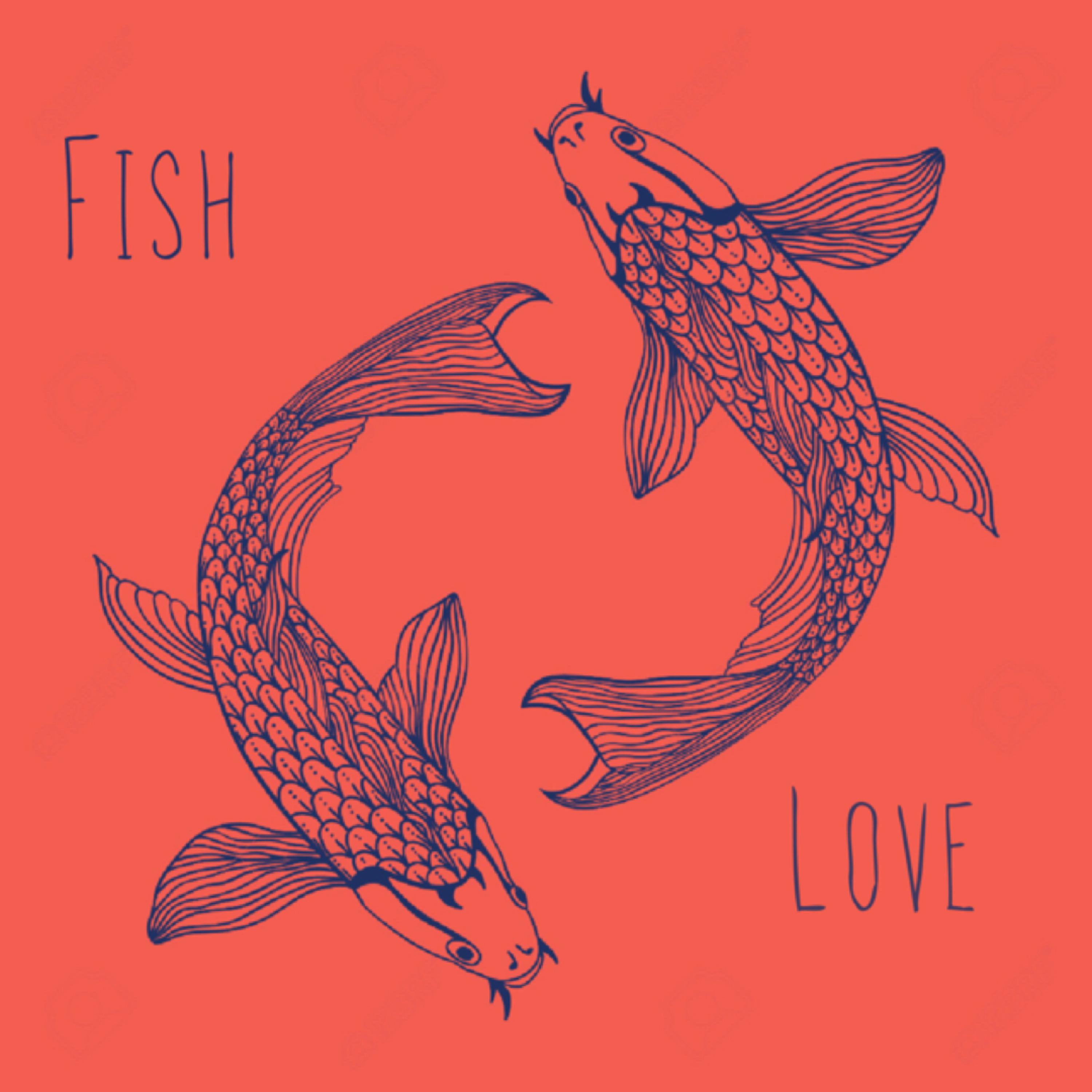 Fish Love artwork