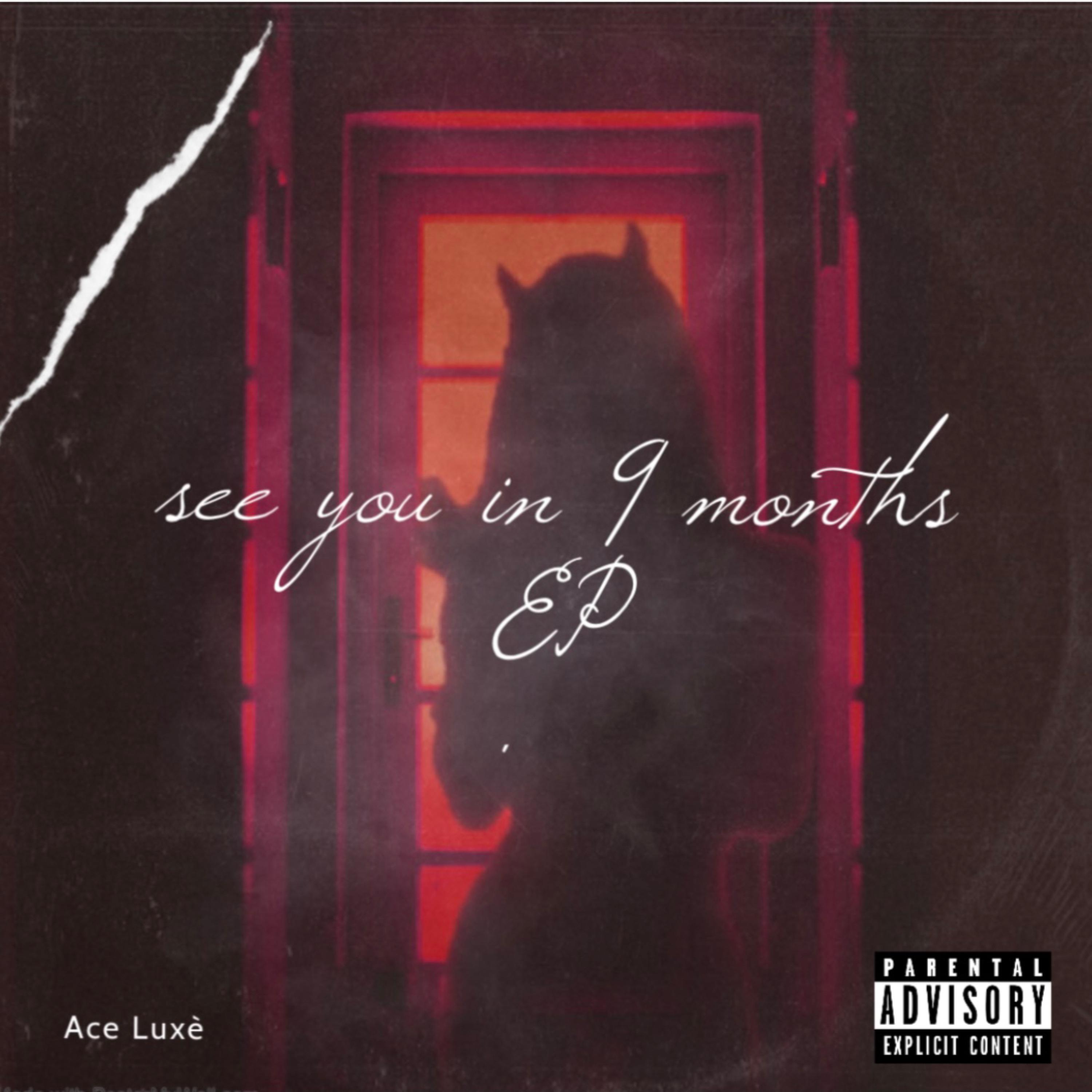 See You In 9 Months artwork