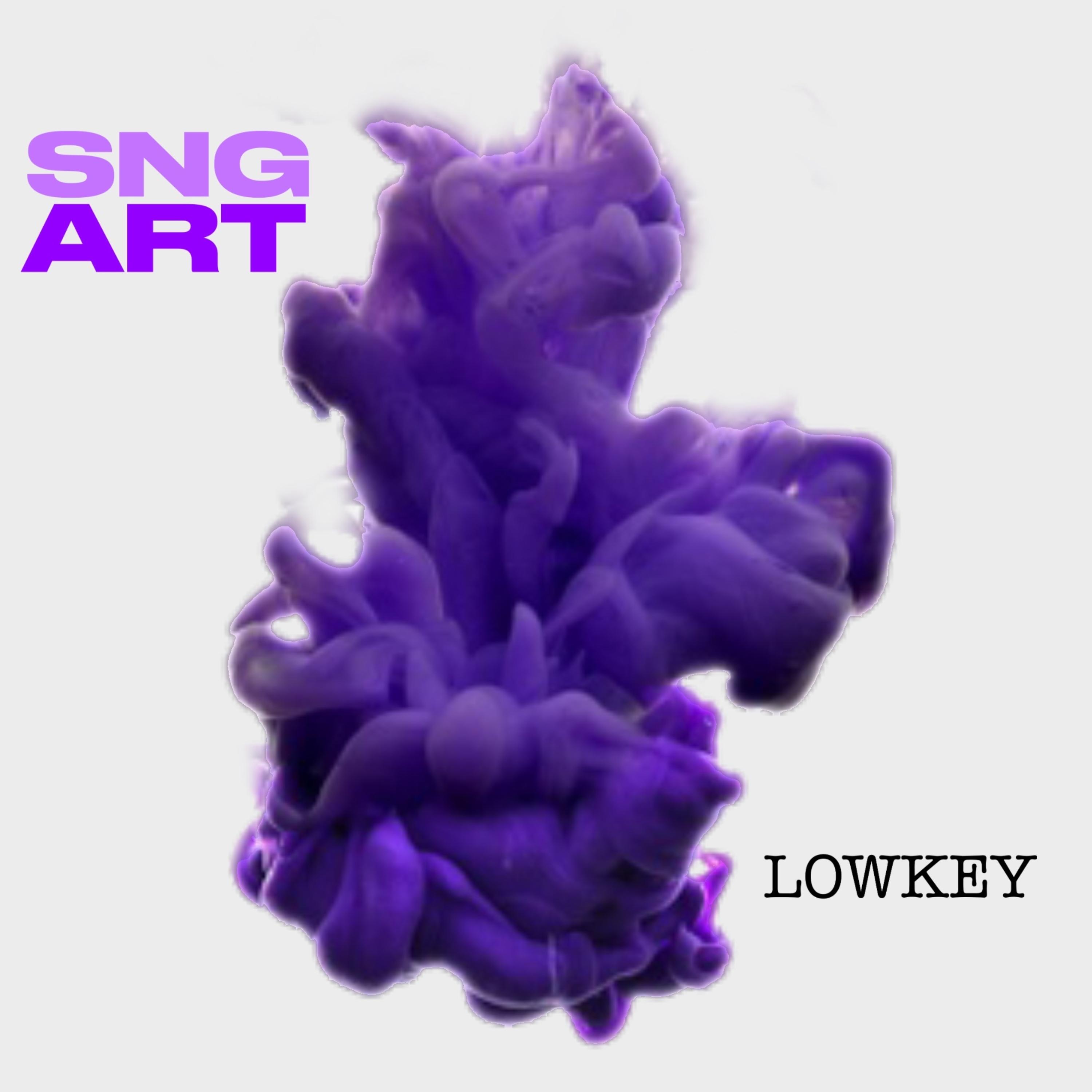 Lowkey by Maritime300 cover art