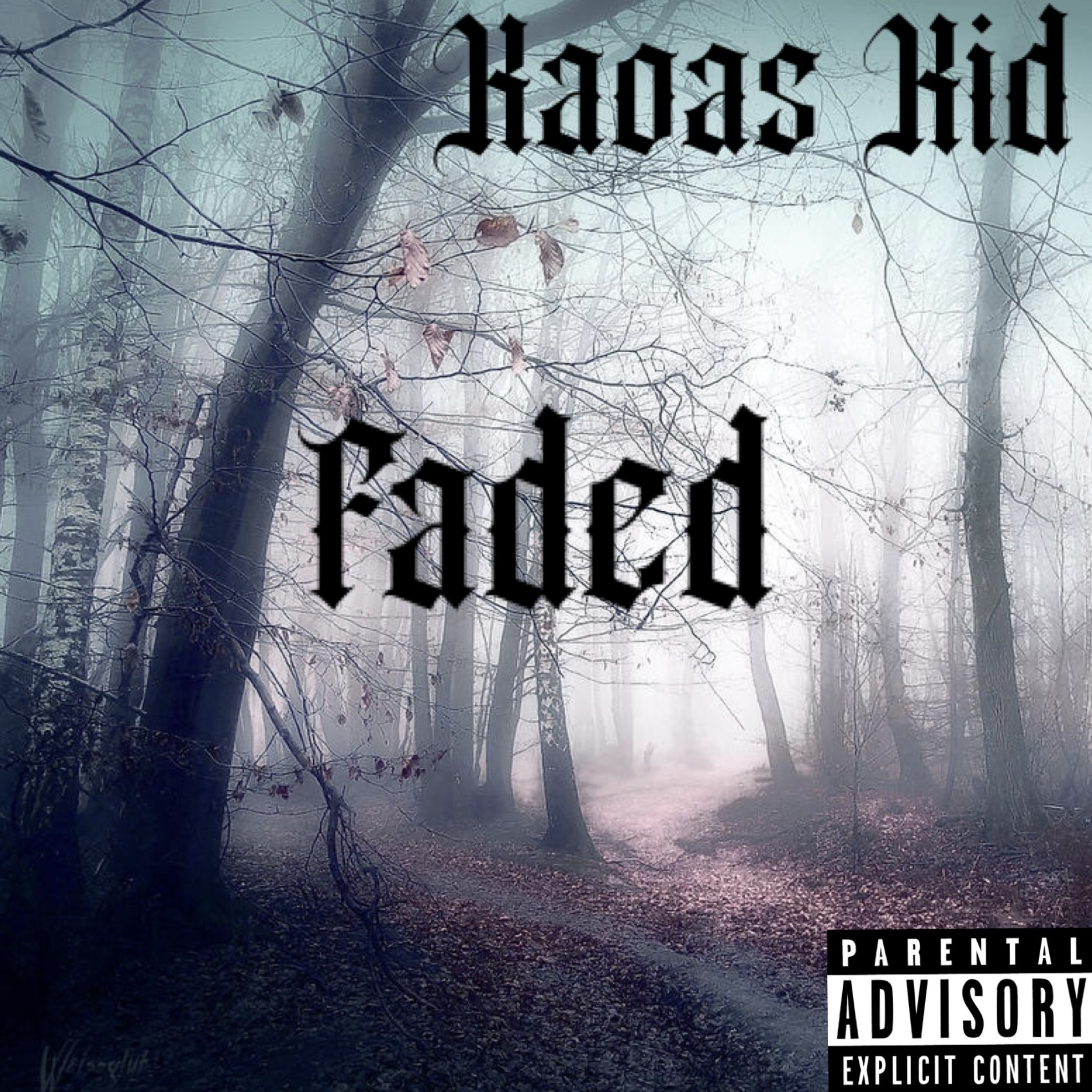 Kaoas Kid Faded artwork