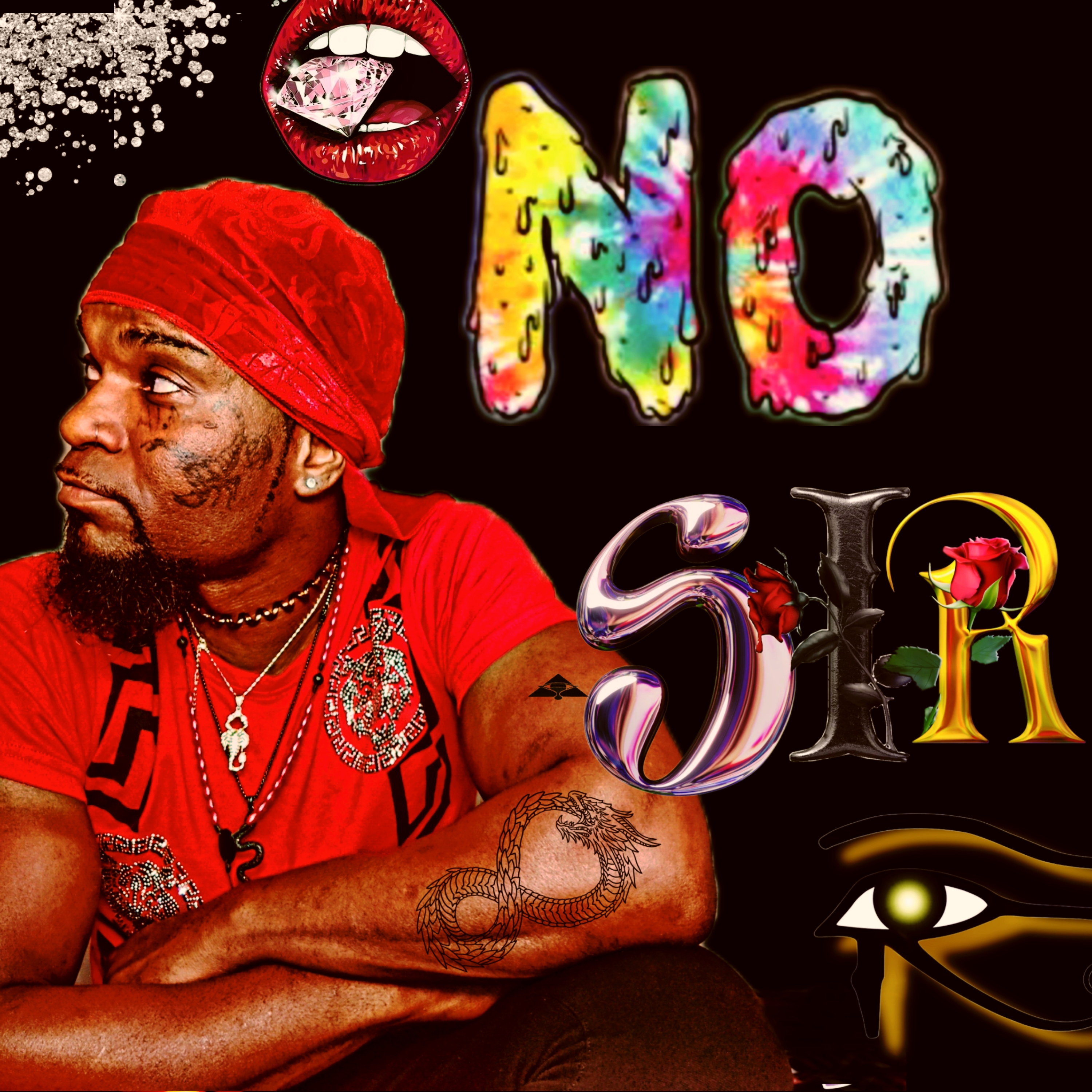 No Sir artwork