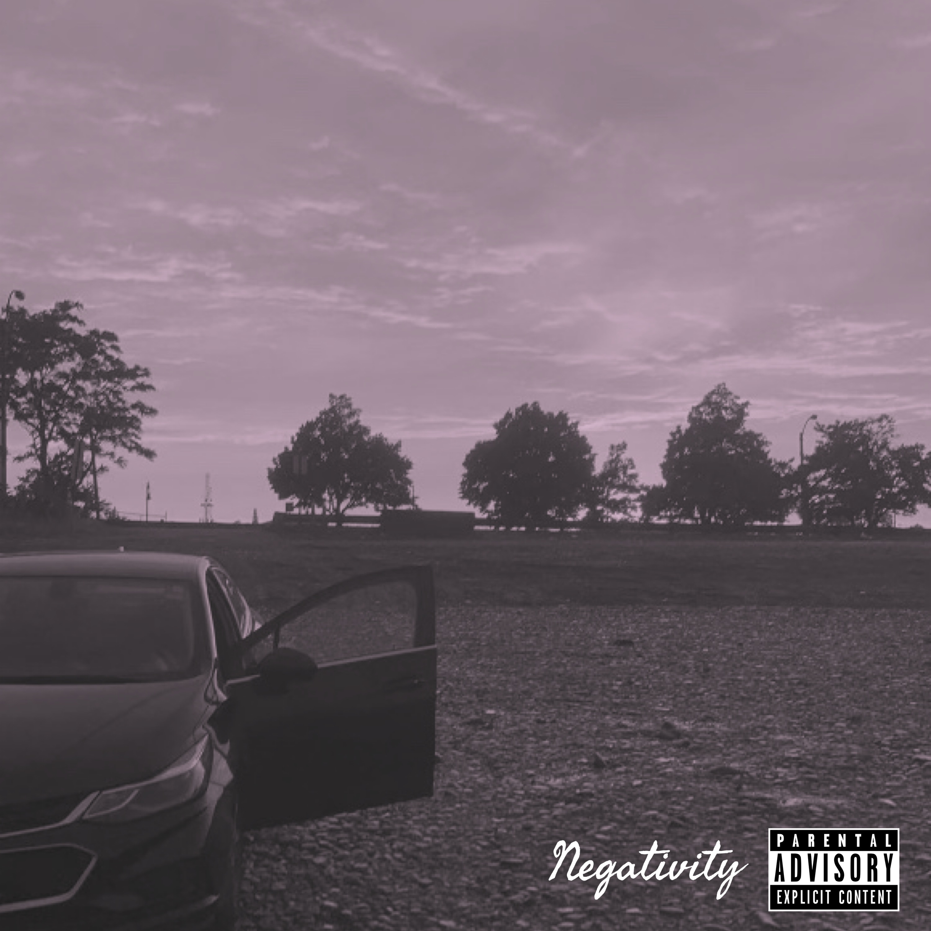 Negativity artwork