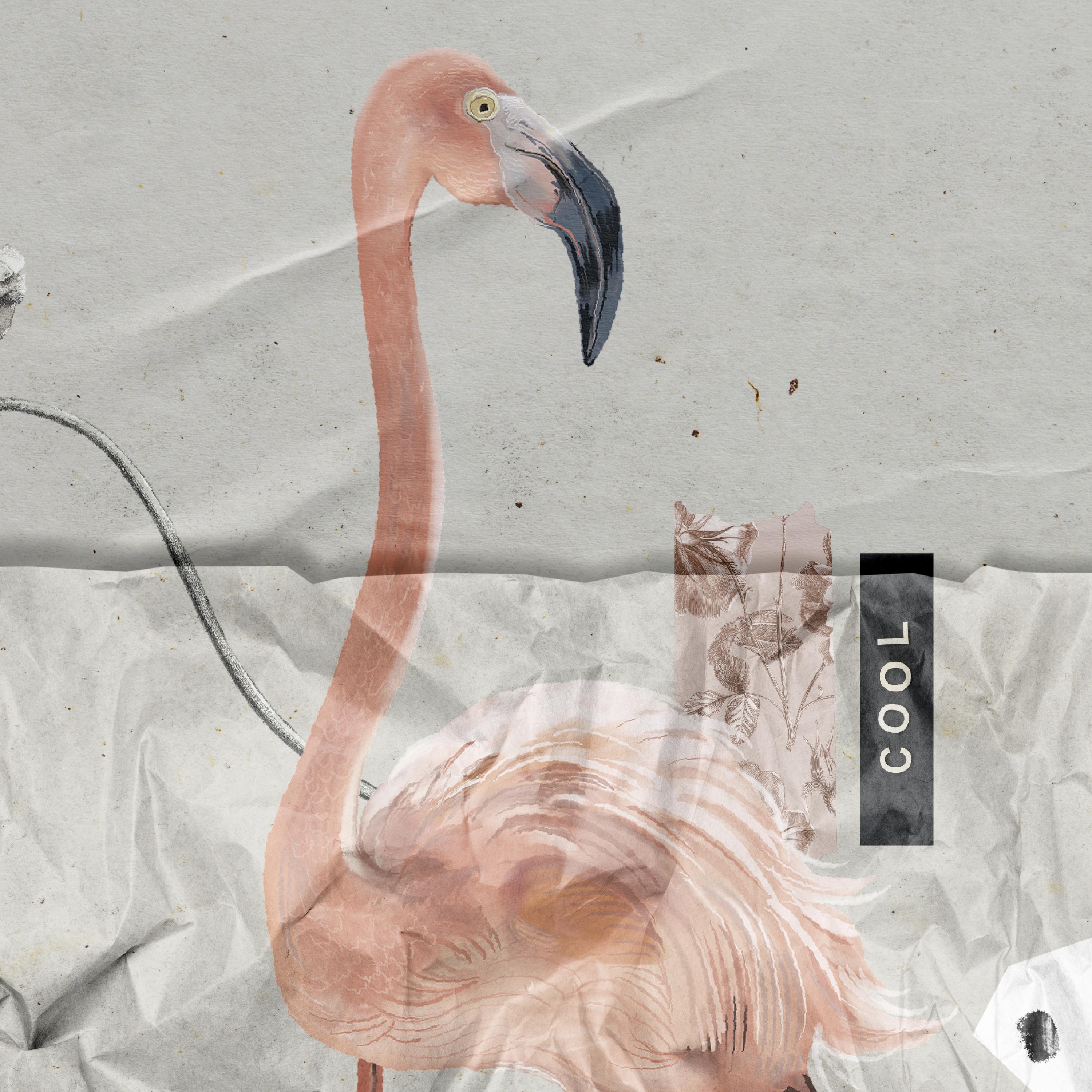 BLISS artwork