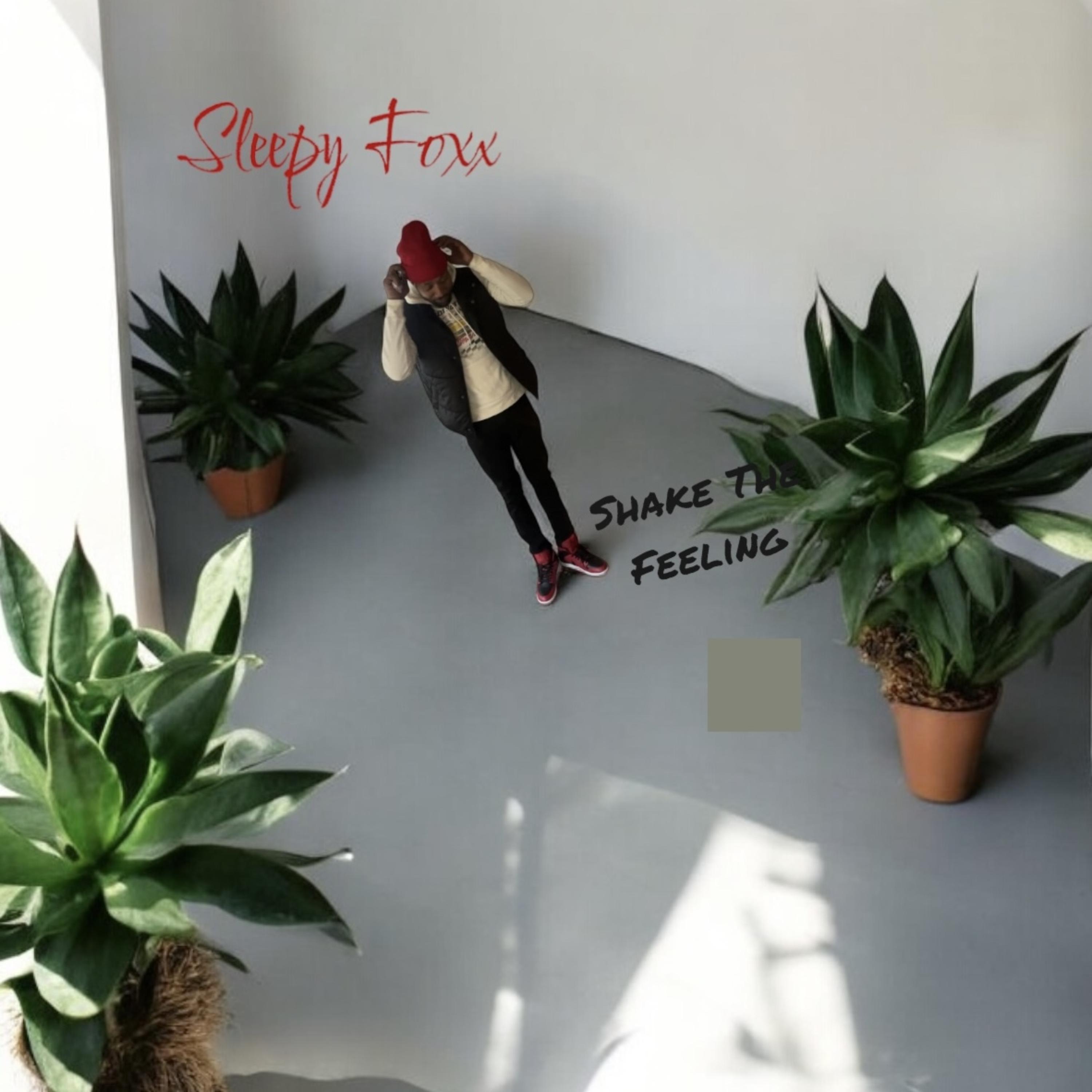 Shake The Feeling artwork