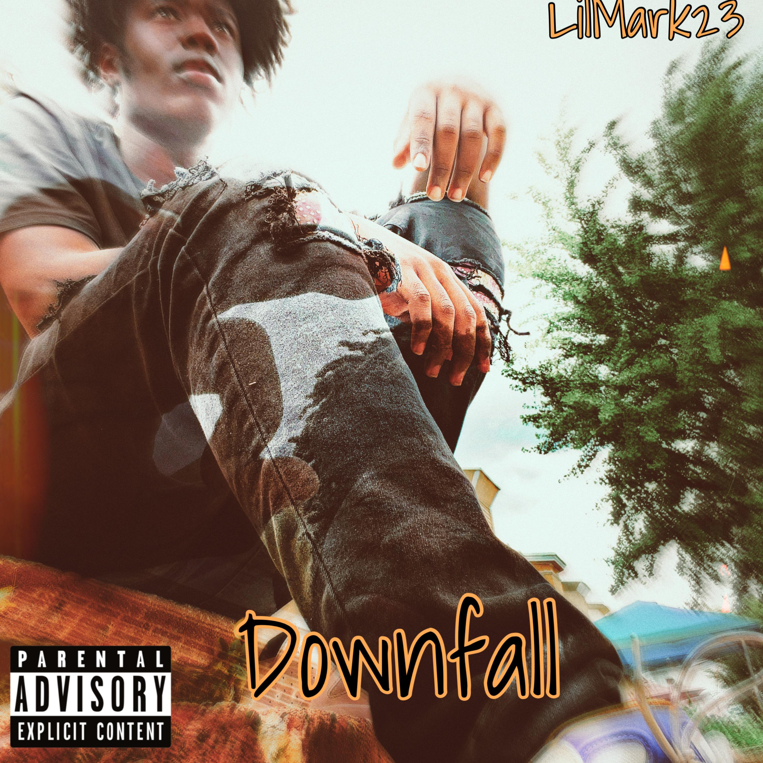 DownFall artwork