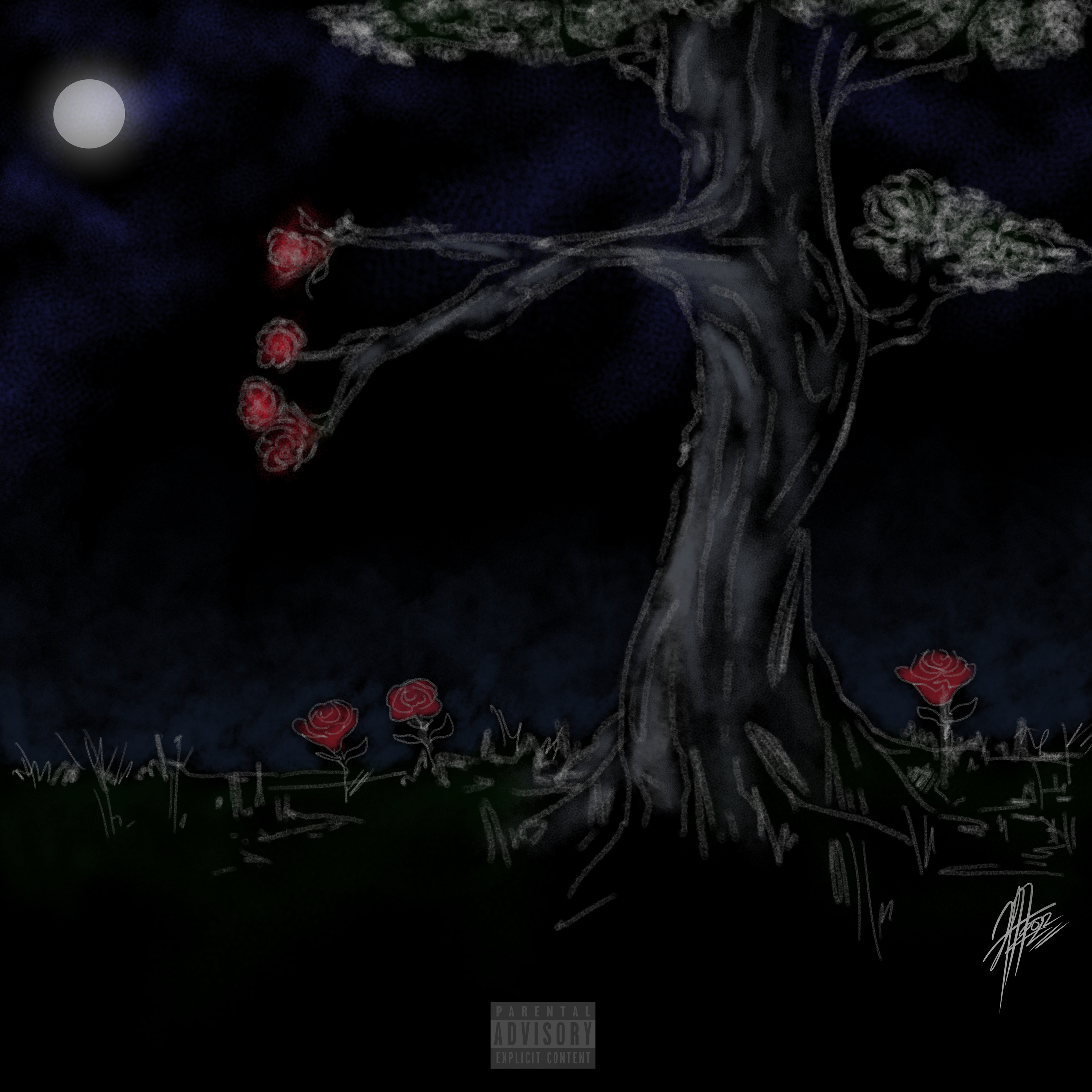 The Last Of Tooki artwork