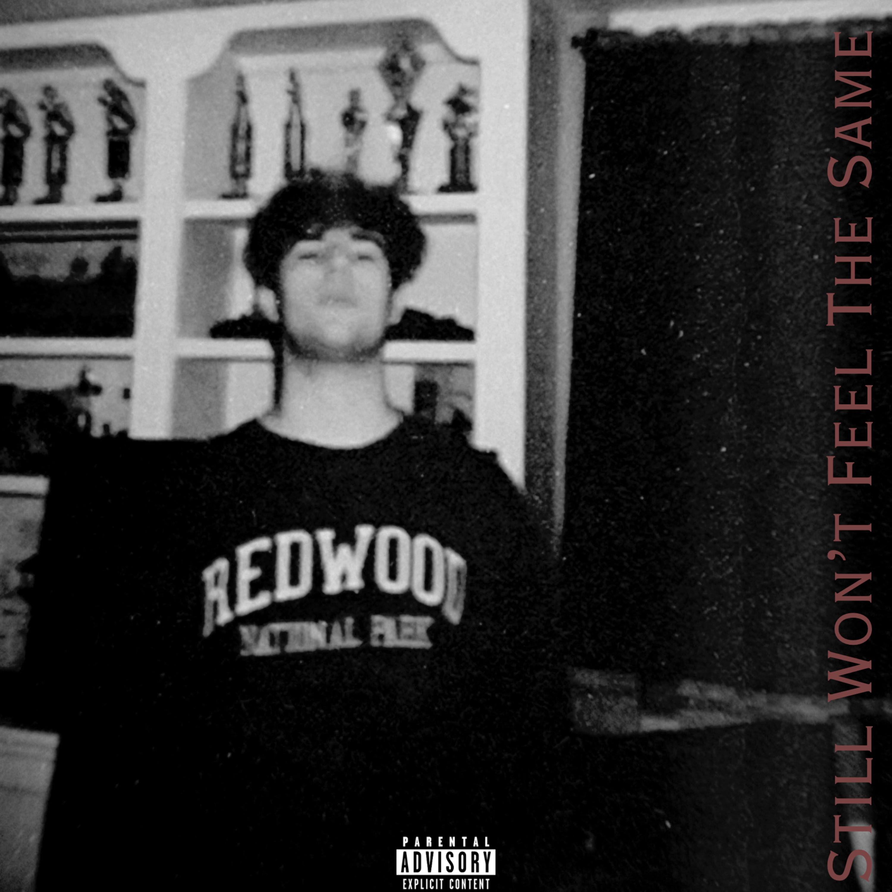 Still Won’t Feel The Same artwork