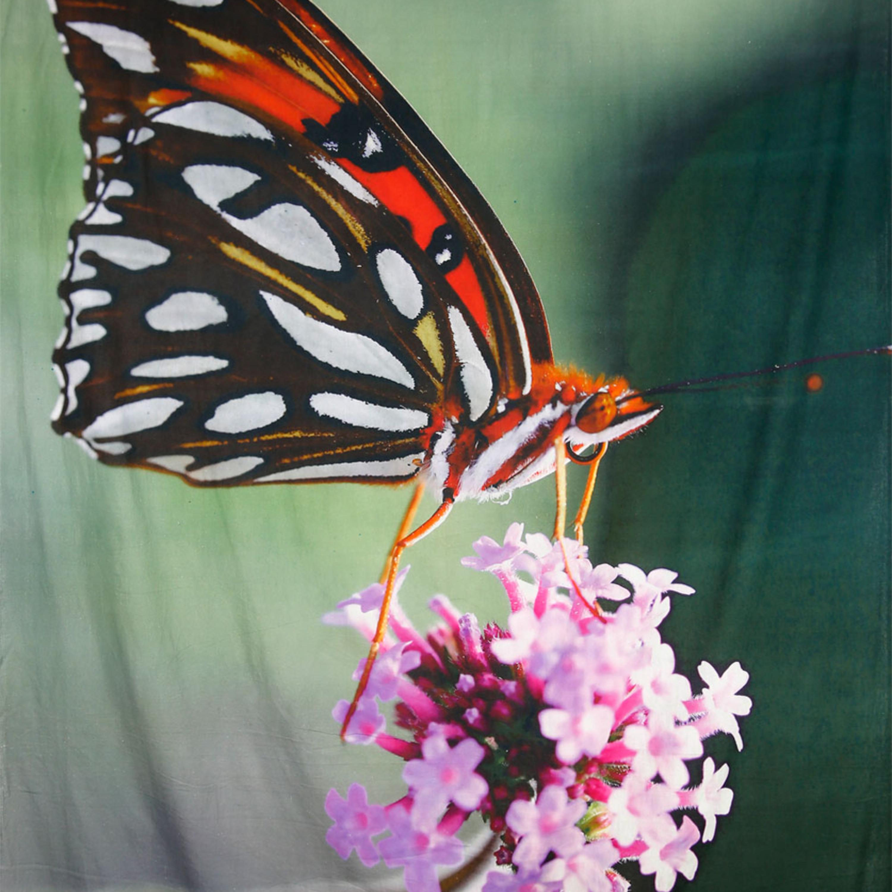 Harmonious Tranquility EP artwork