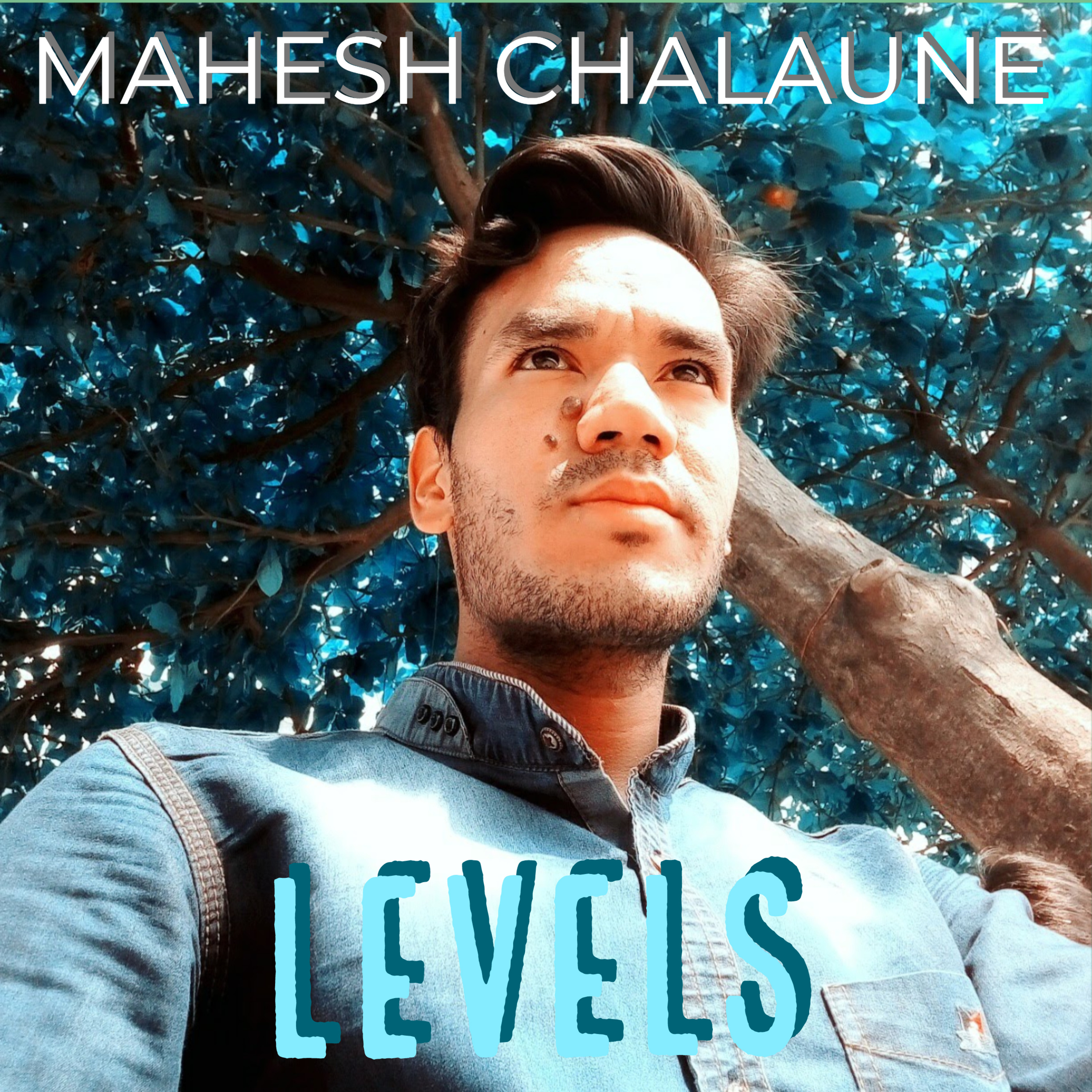 Levels artwork