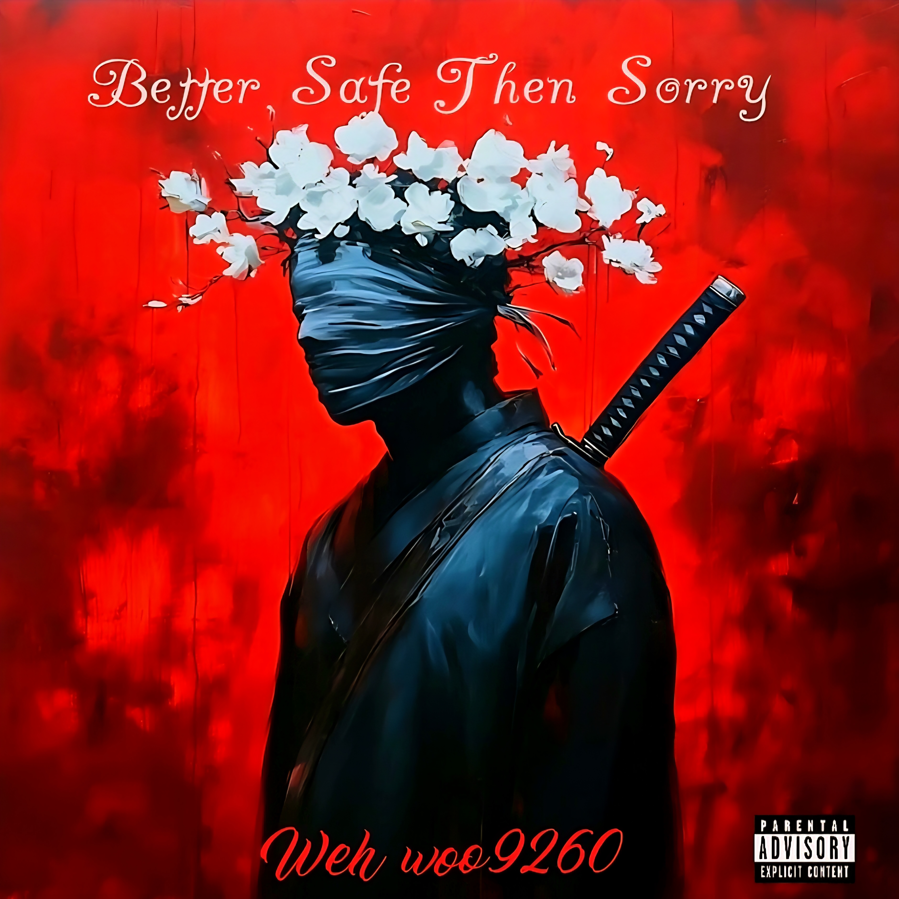 Better Safe Then Sorry artwork