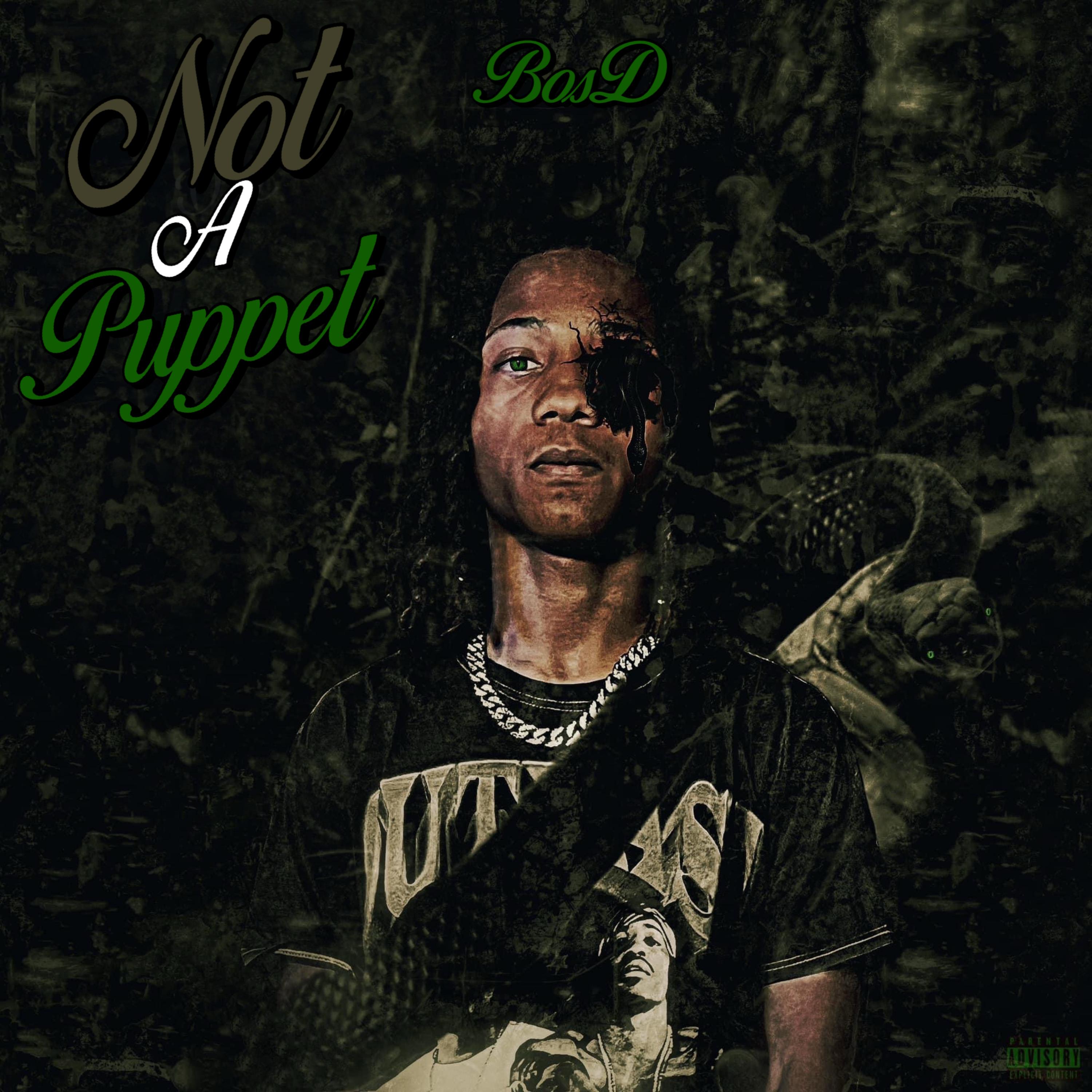 Not A Puppet artwork