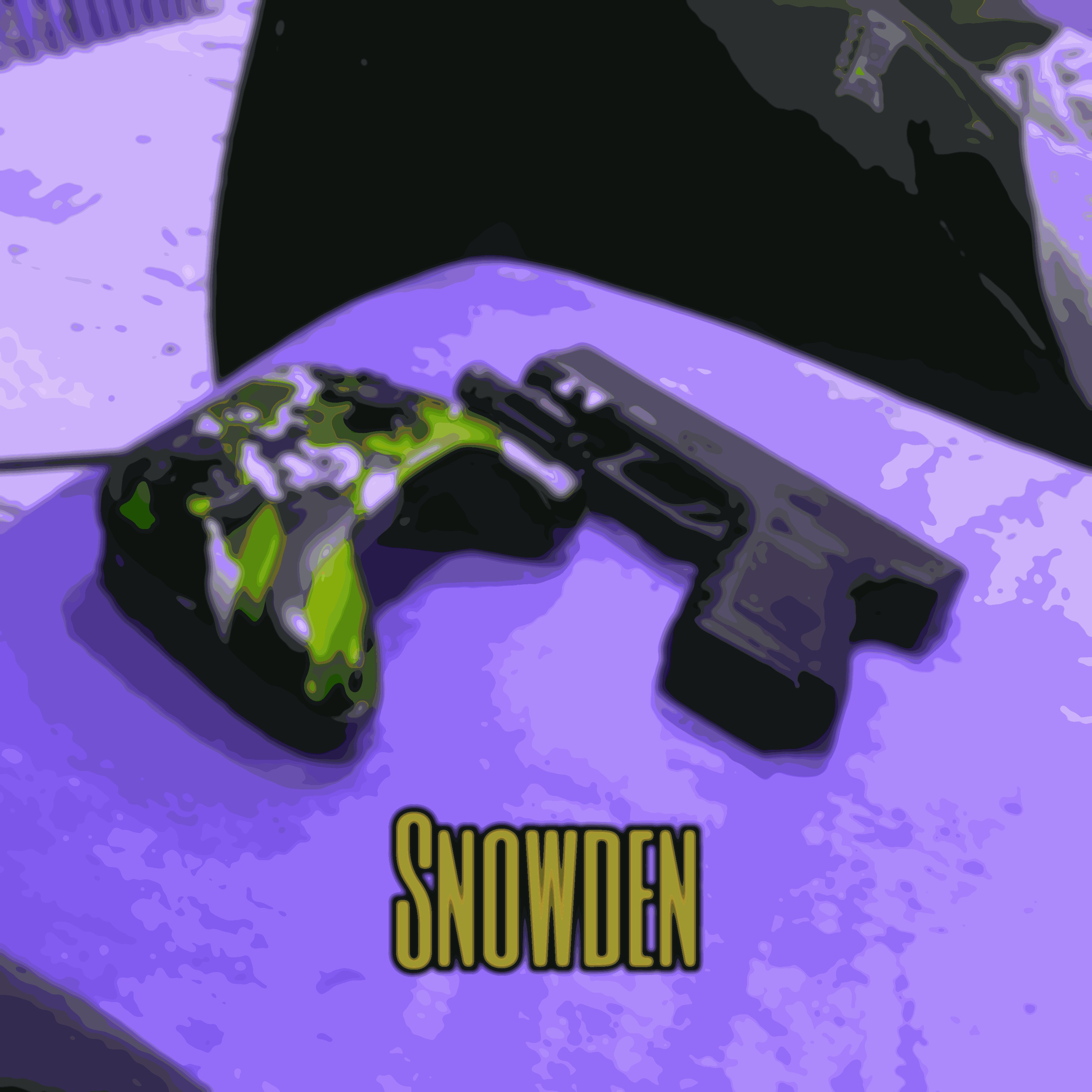 Snowden artwork