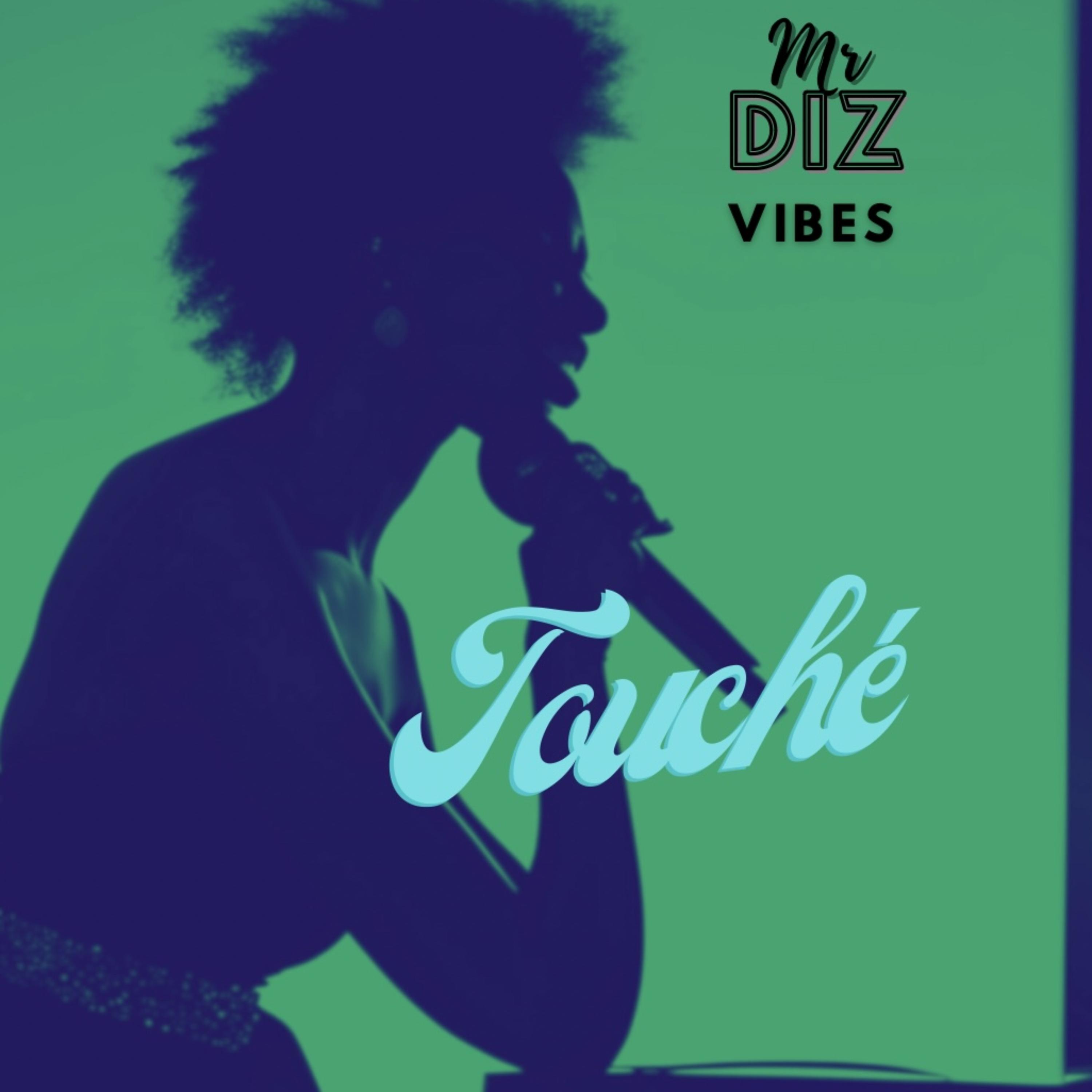 Touché (pt 2) by Mr Diz cover art