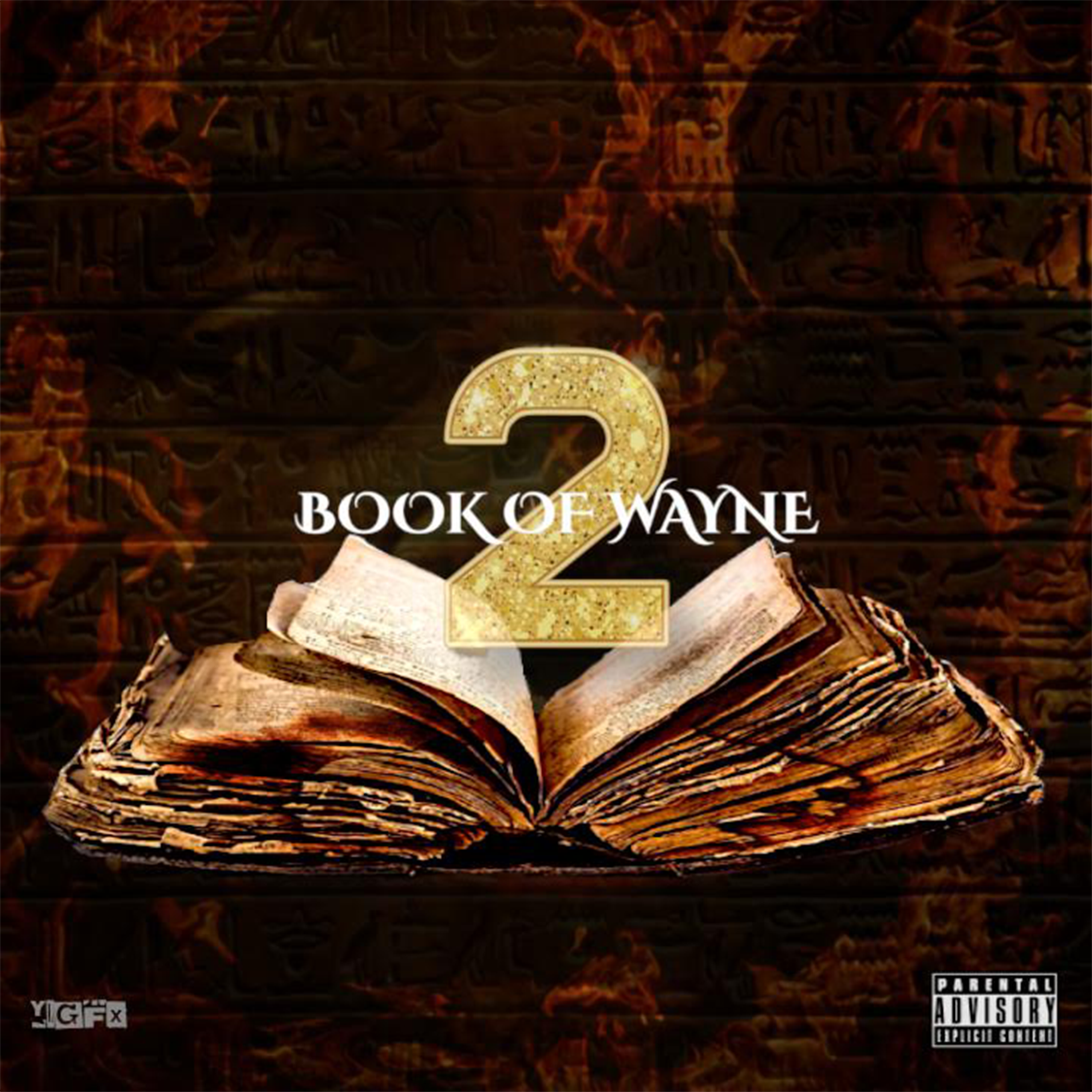 Book of Wayne 2 artwork