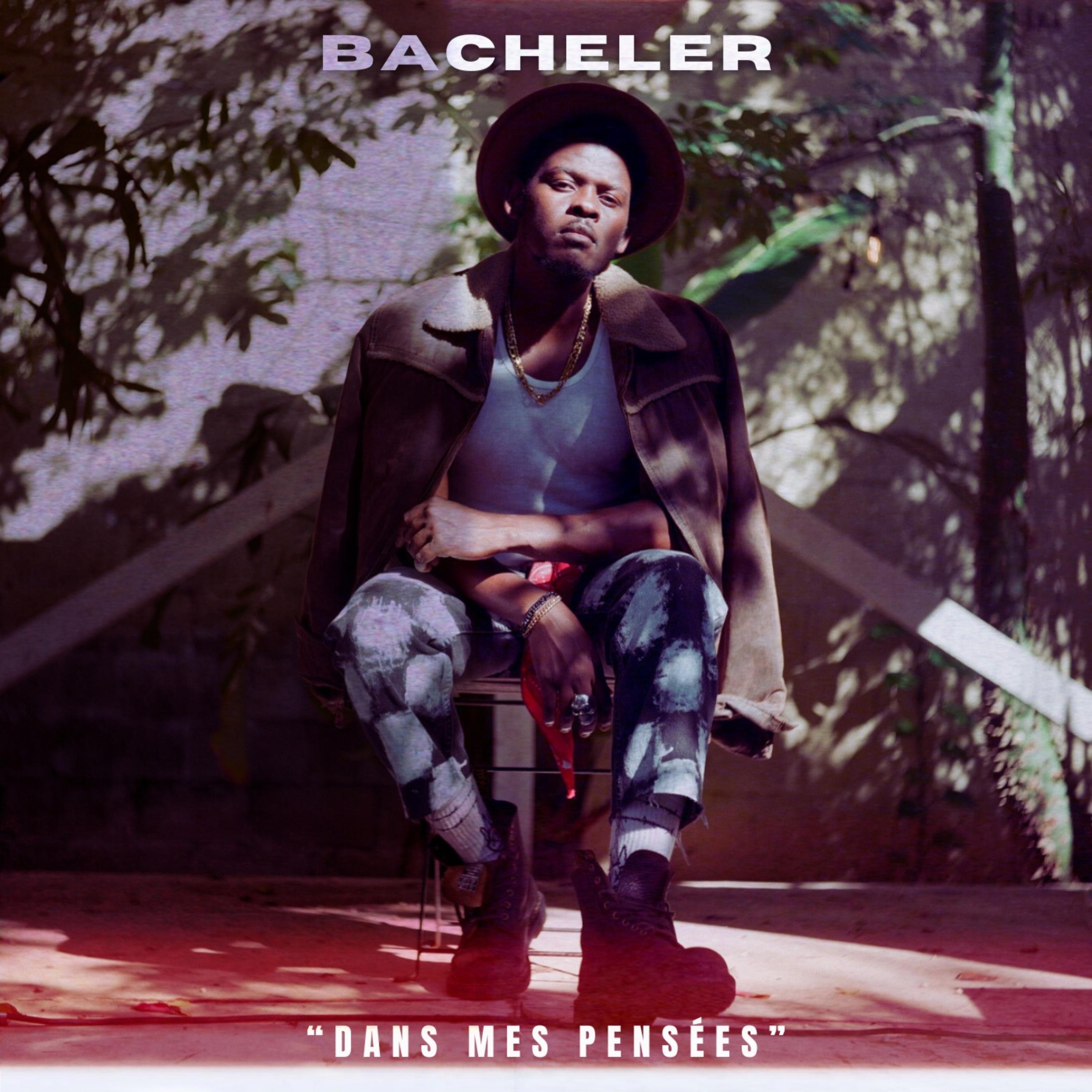 Dans Mes Pensées artwork