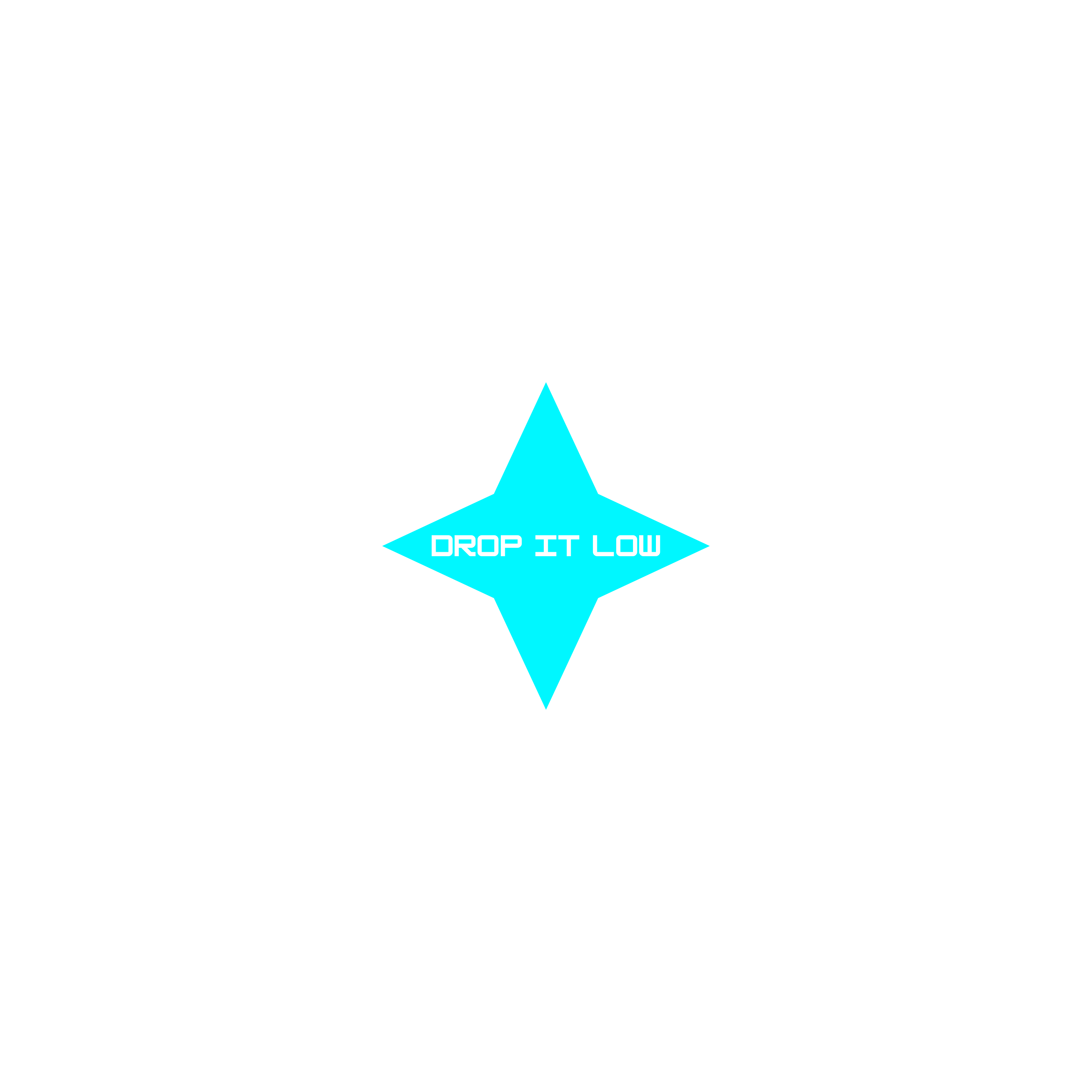 DROP IT LOW artwork