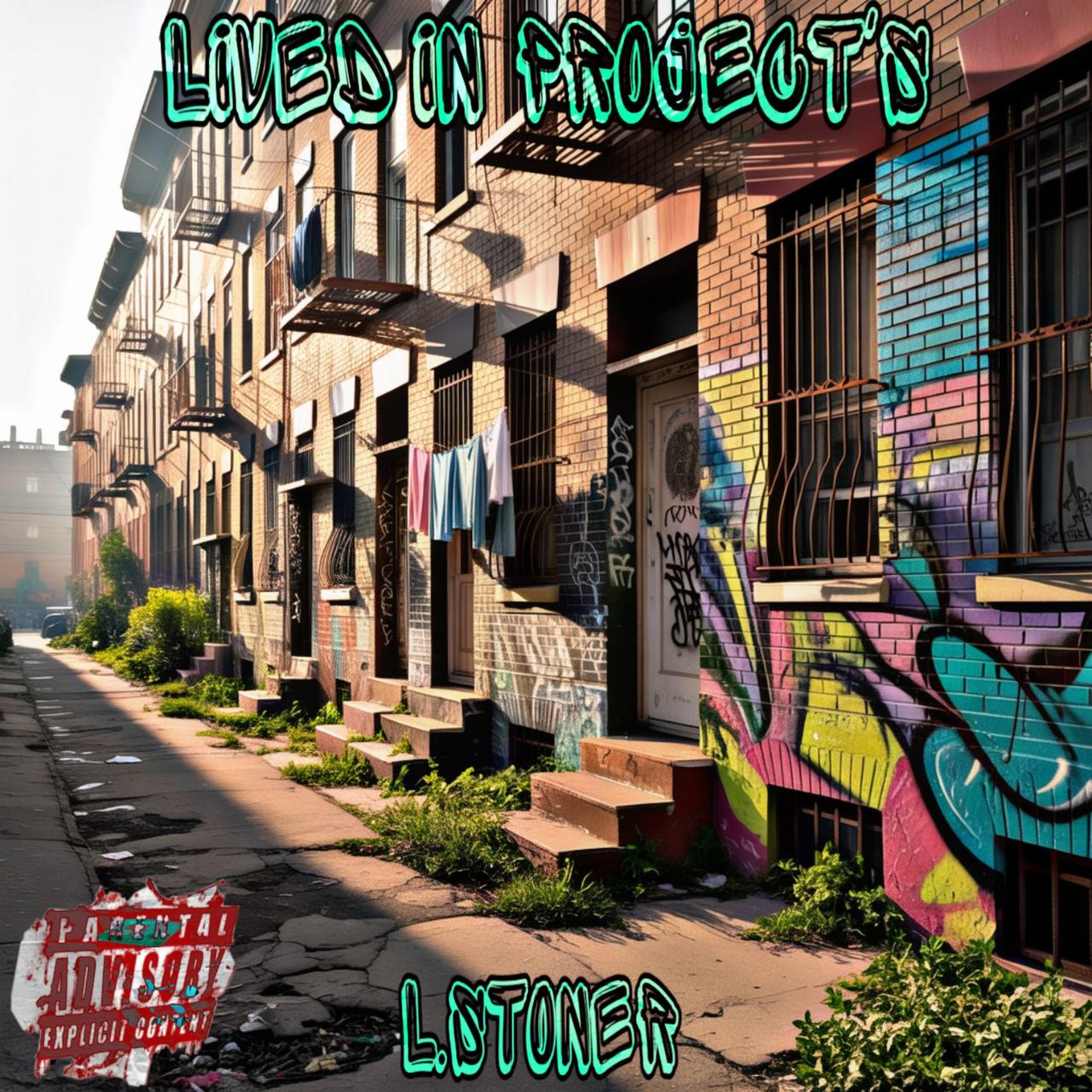 Lived IN Projects artwork