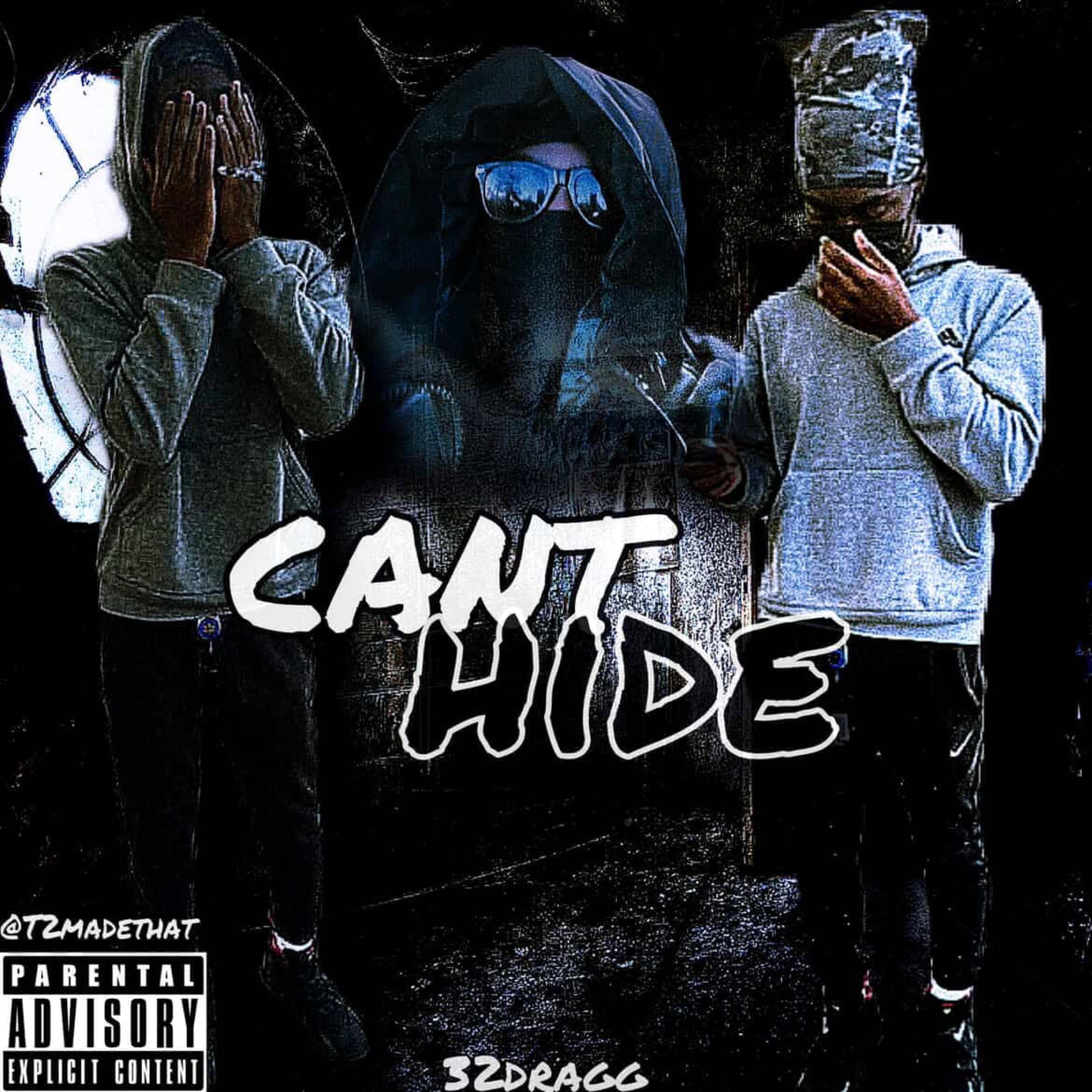 Cant Hide artwork