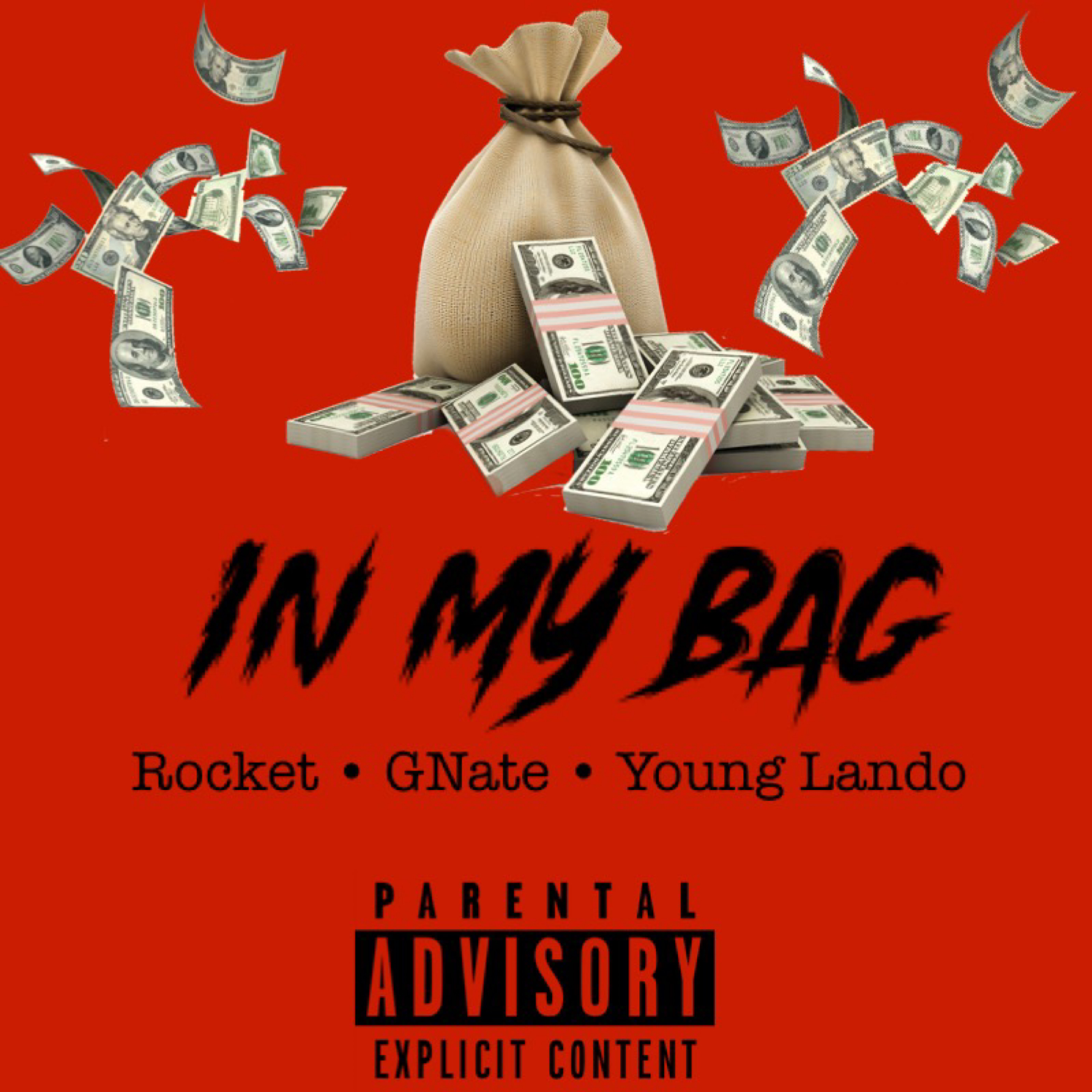IN MY BAG artwork