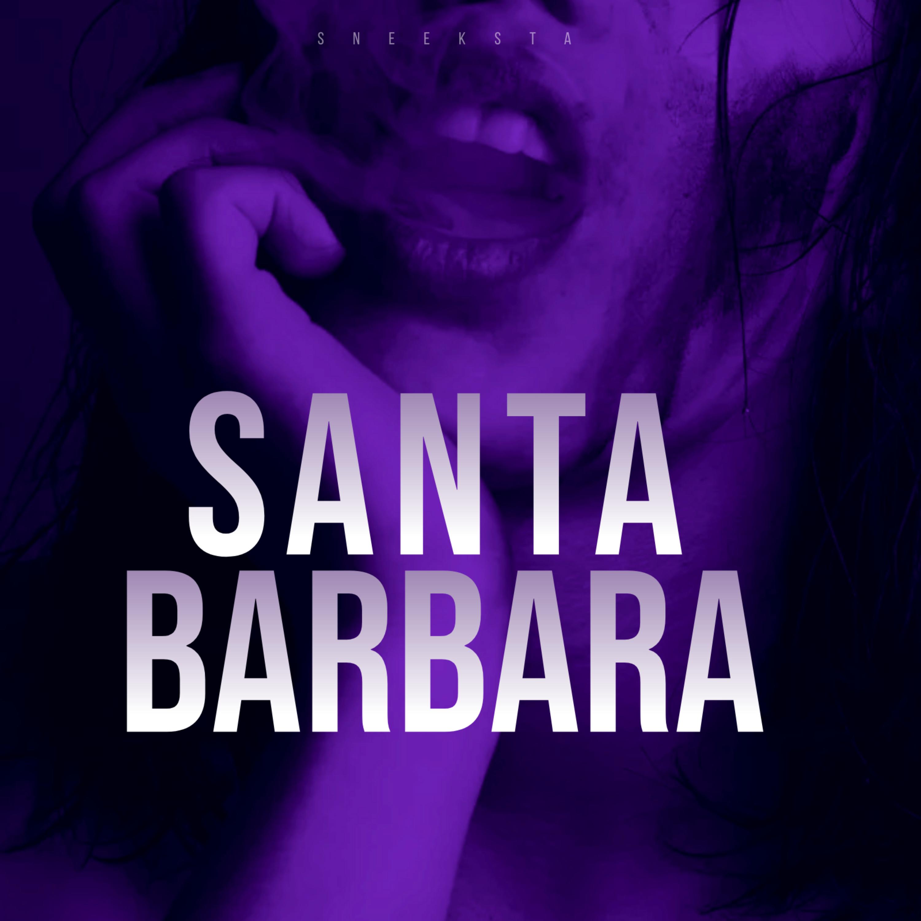 Santa Barbara artwork