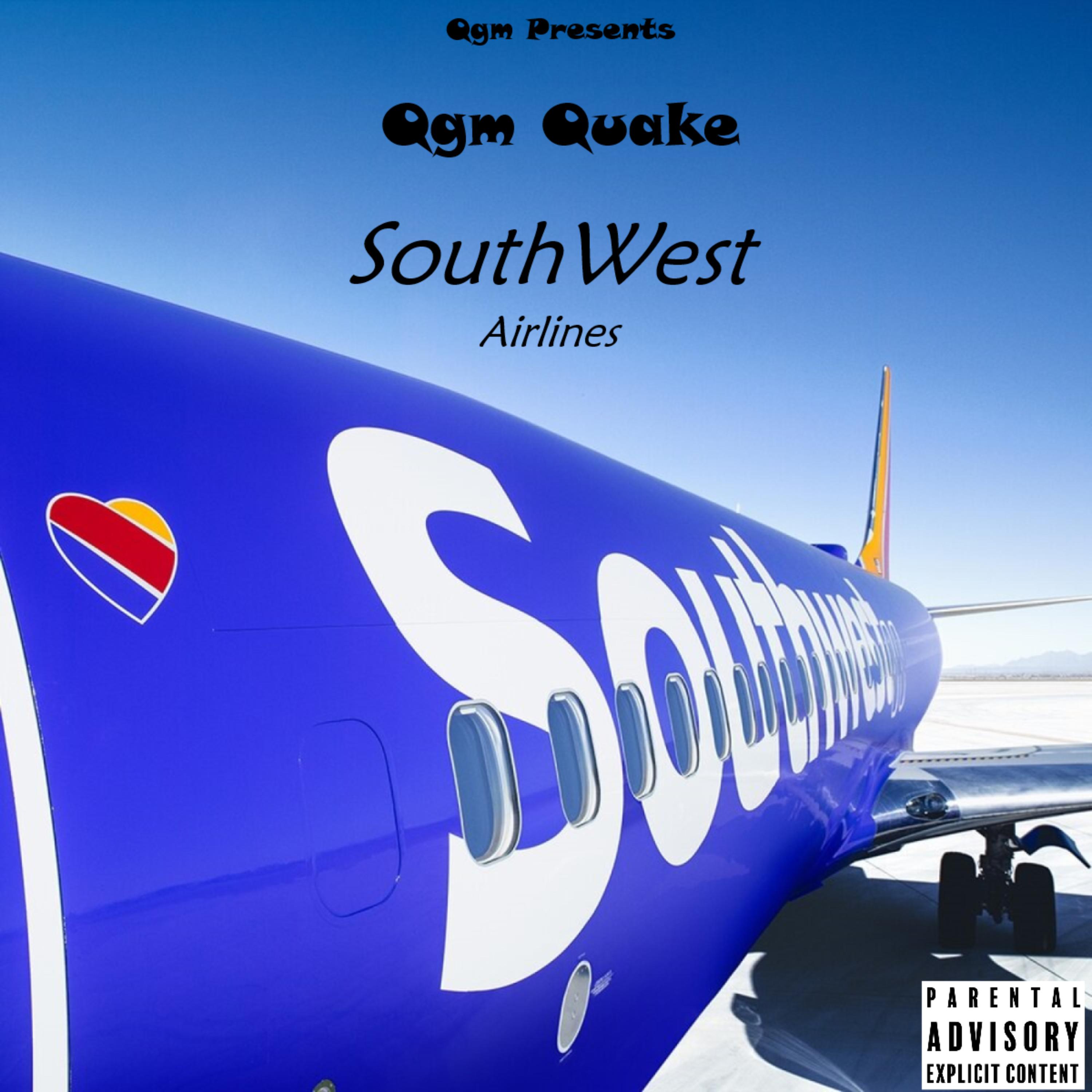 SouthWest Airlines artwork