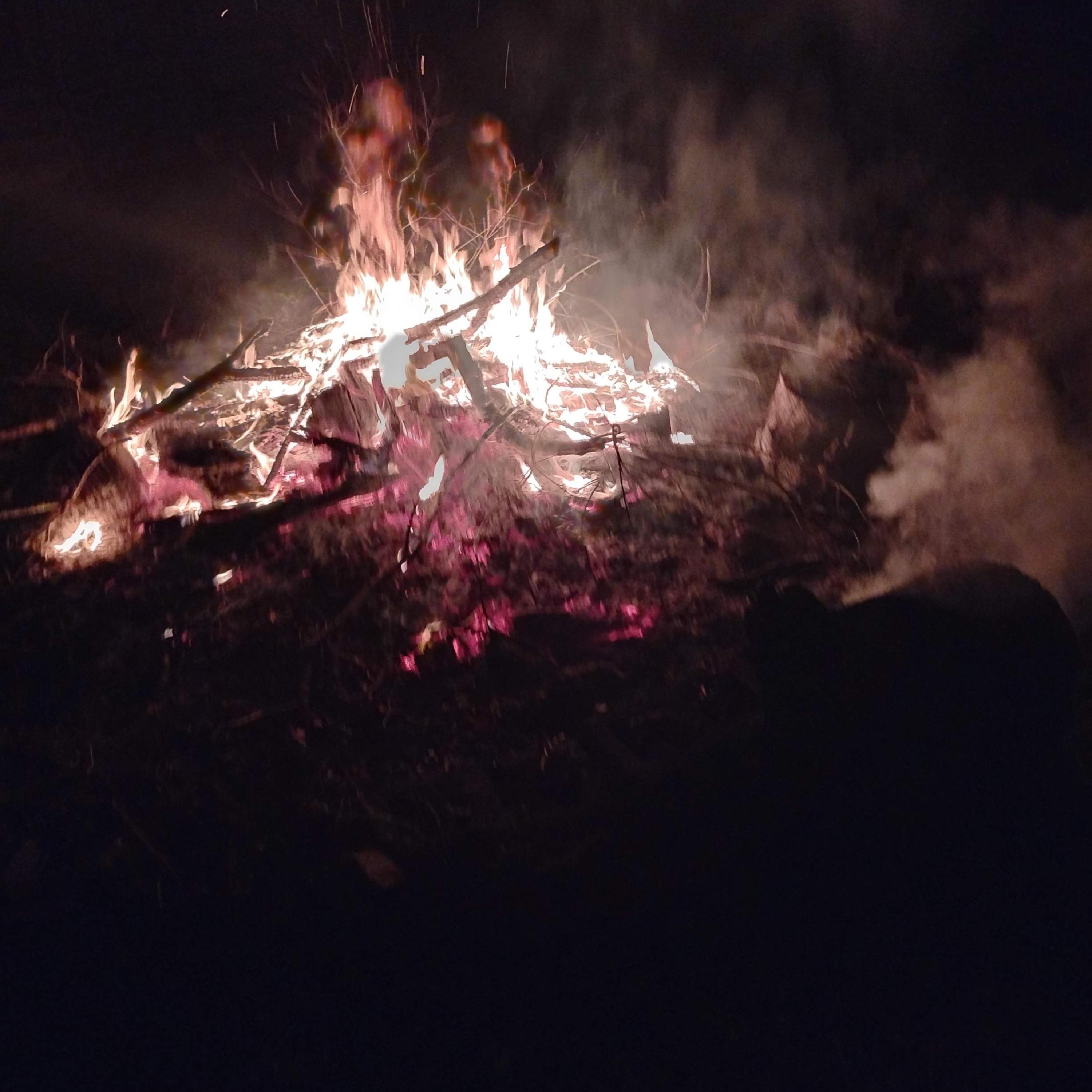 Phoenix rising artwork