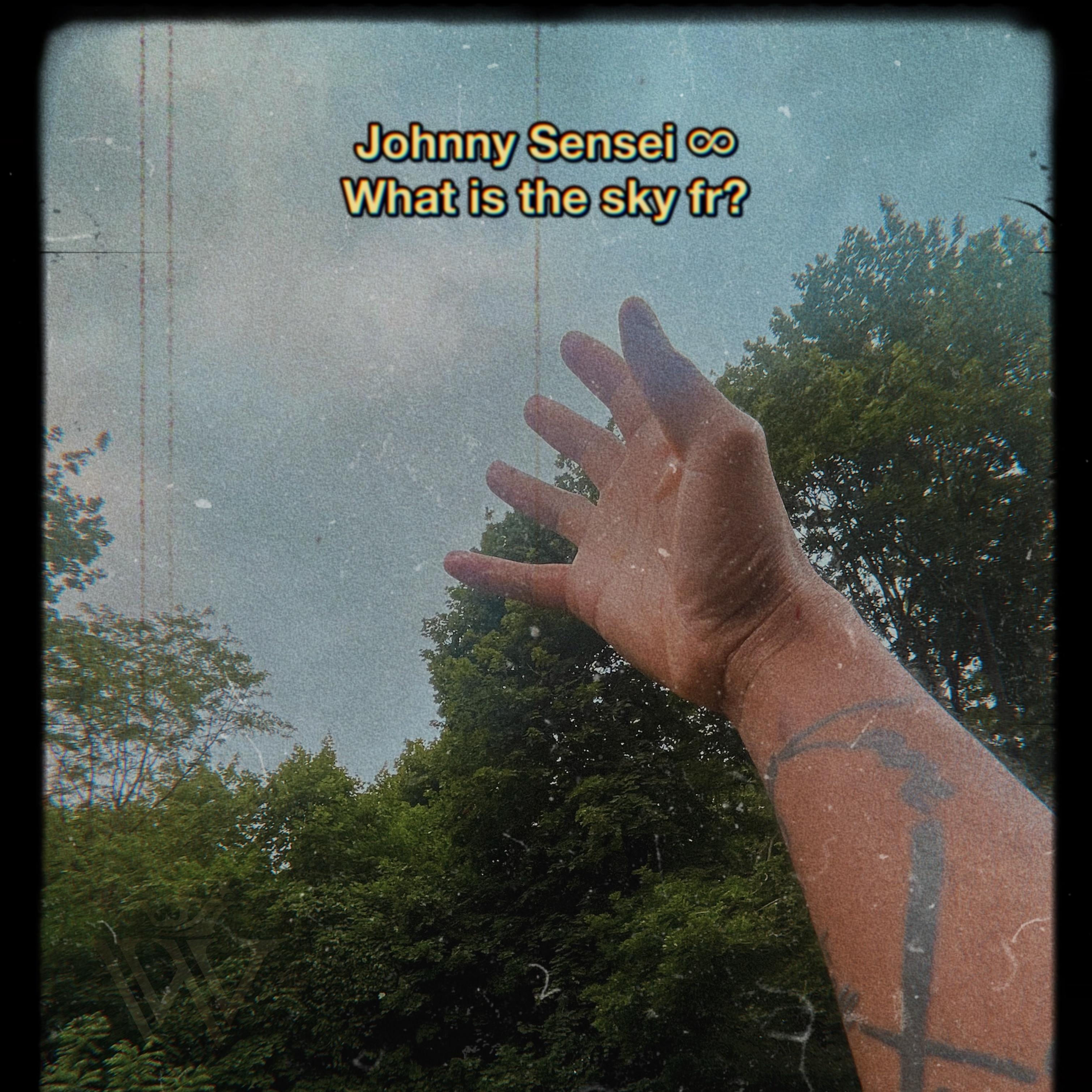 What Is The Sky Fr? artwork