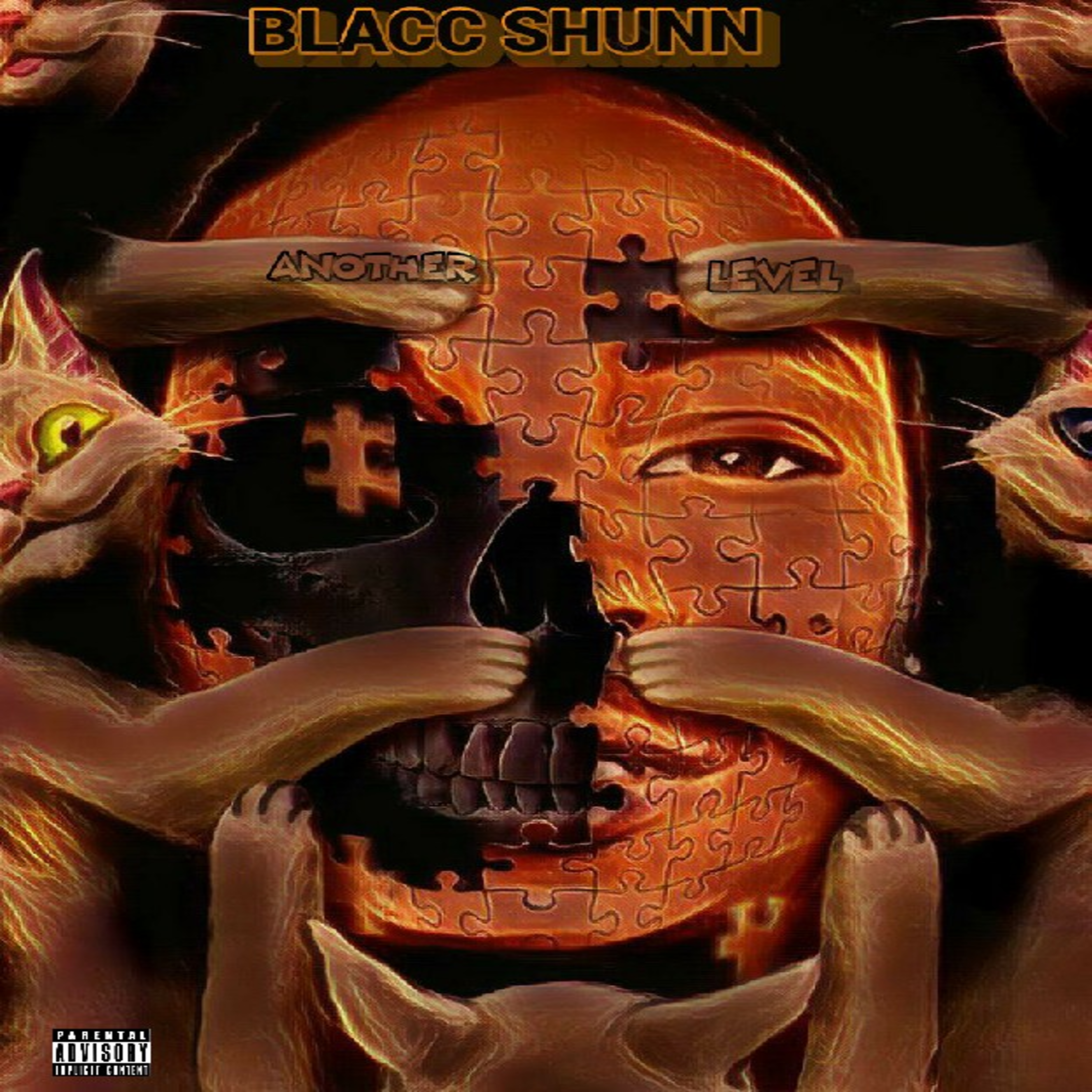 Another Level artwork