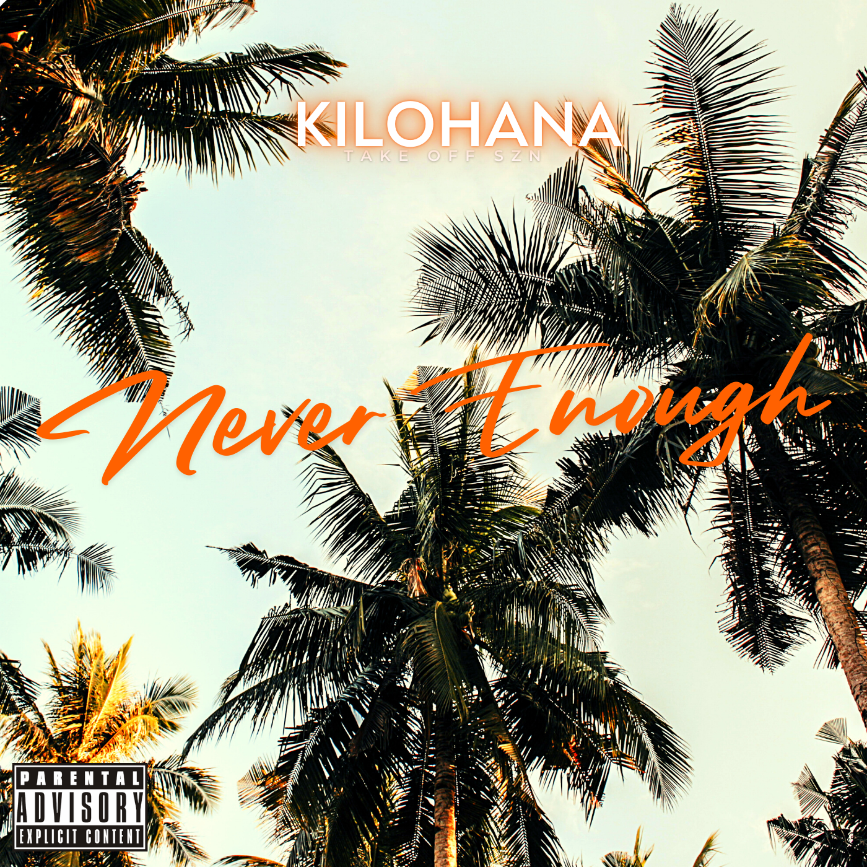 Never Enough artwork