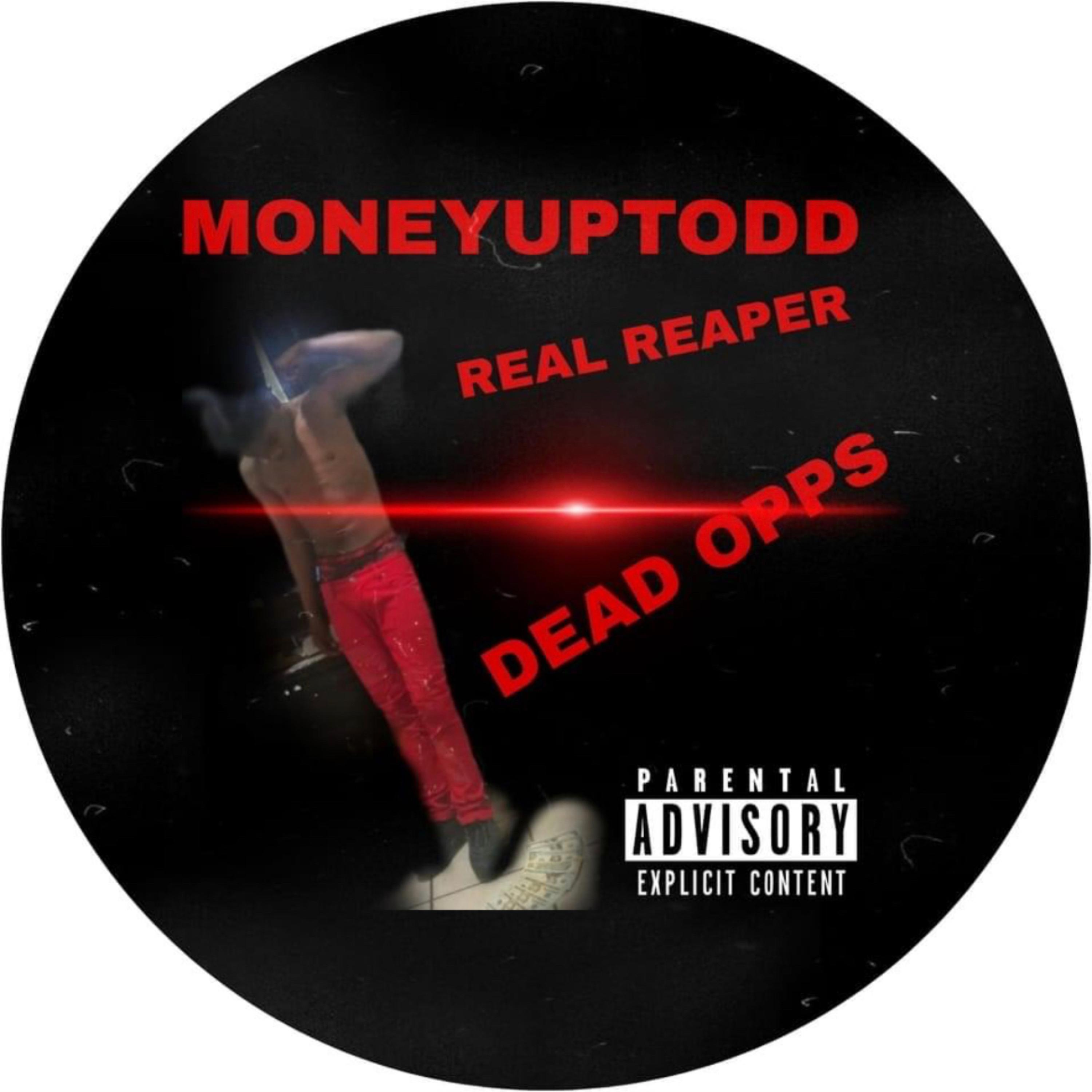 Dead Opps by moneyuptodd cover art