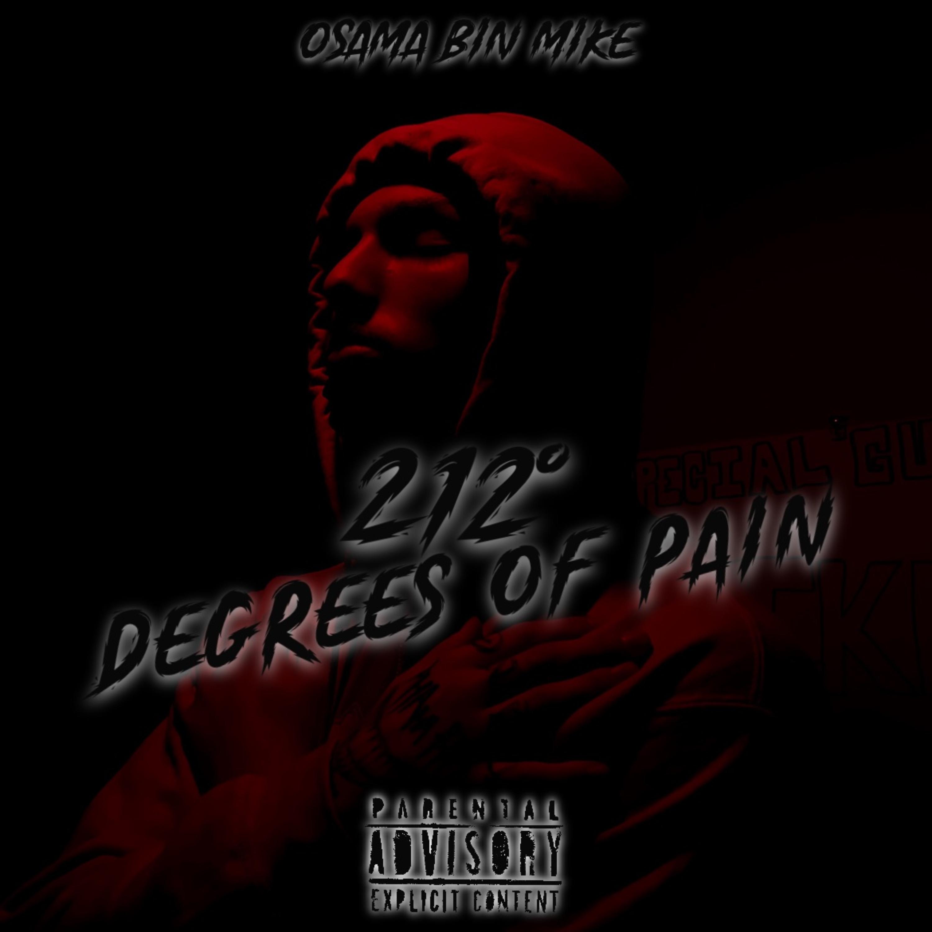 212 Degrees Of Pain artwork