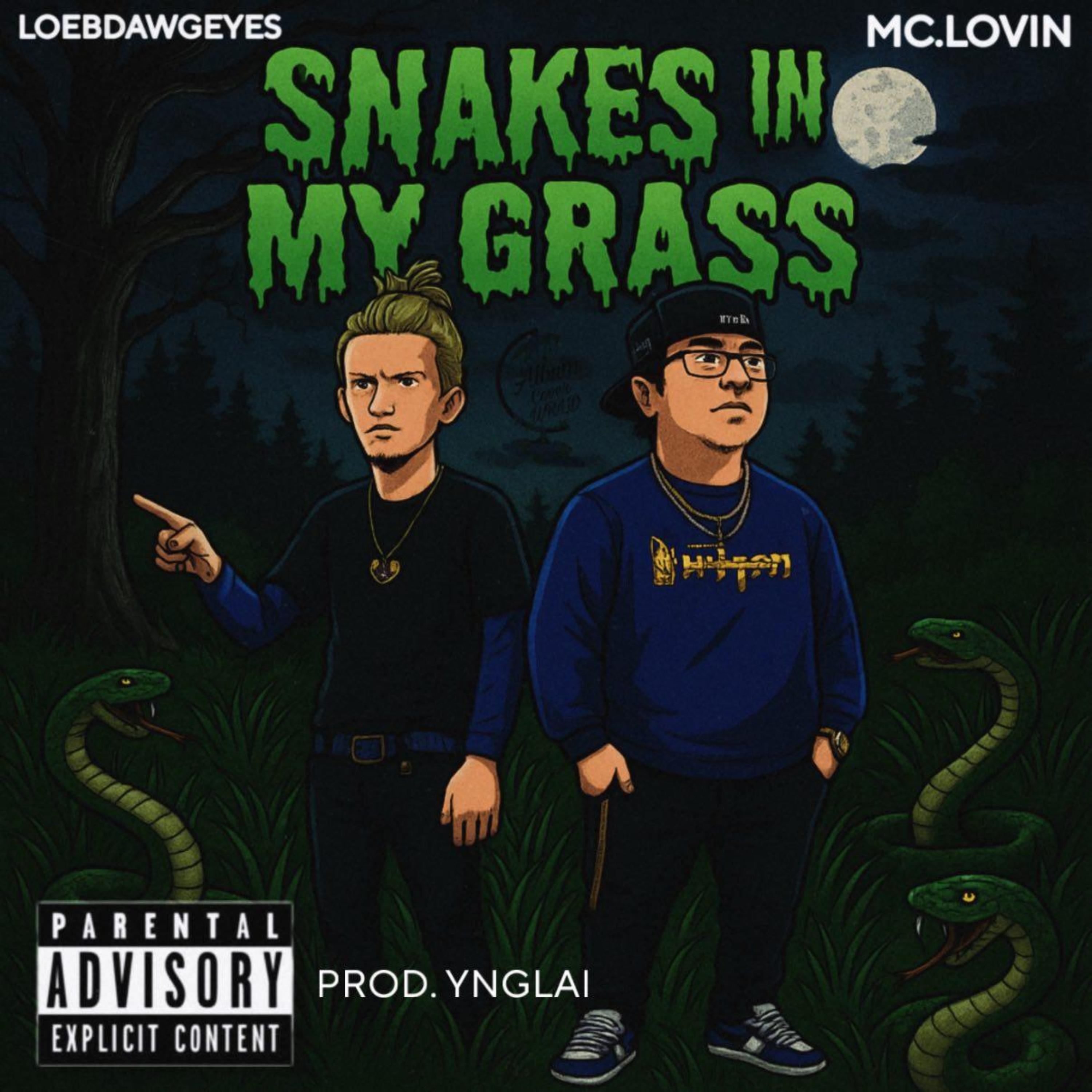Snakes in my grass artwork