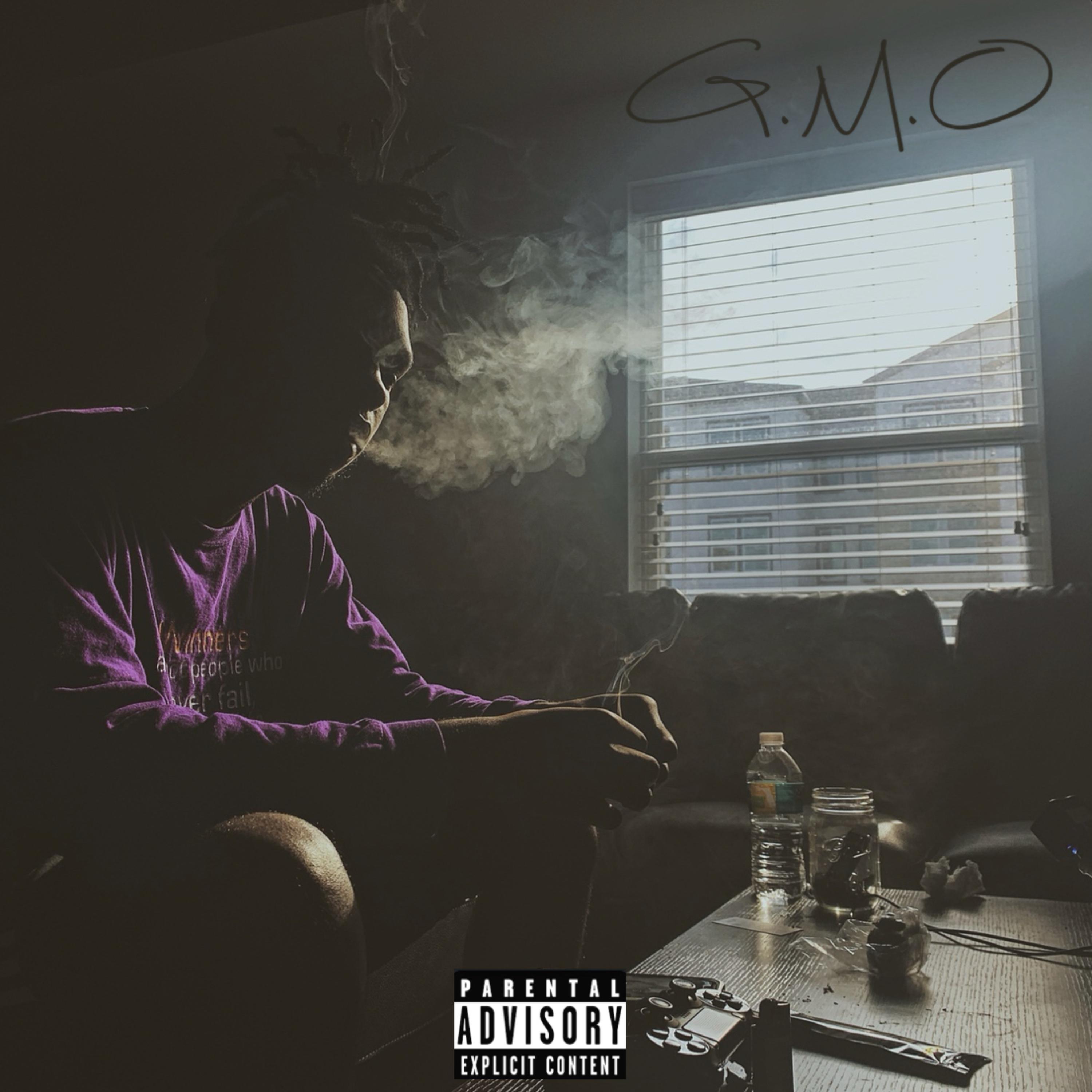 G.M.O artwork