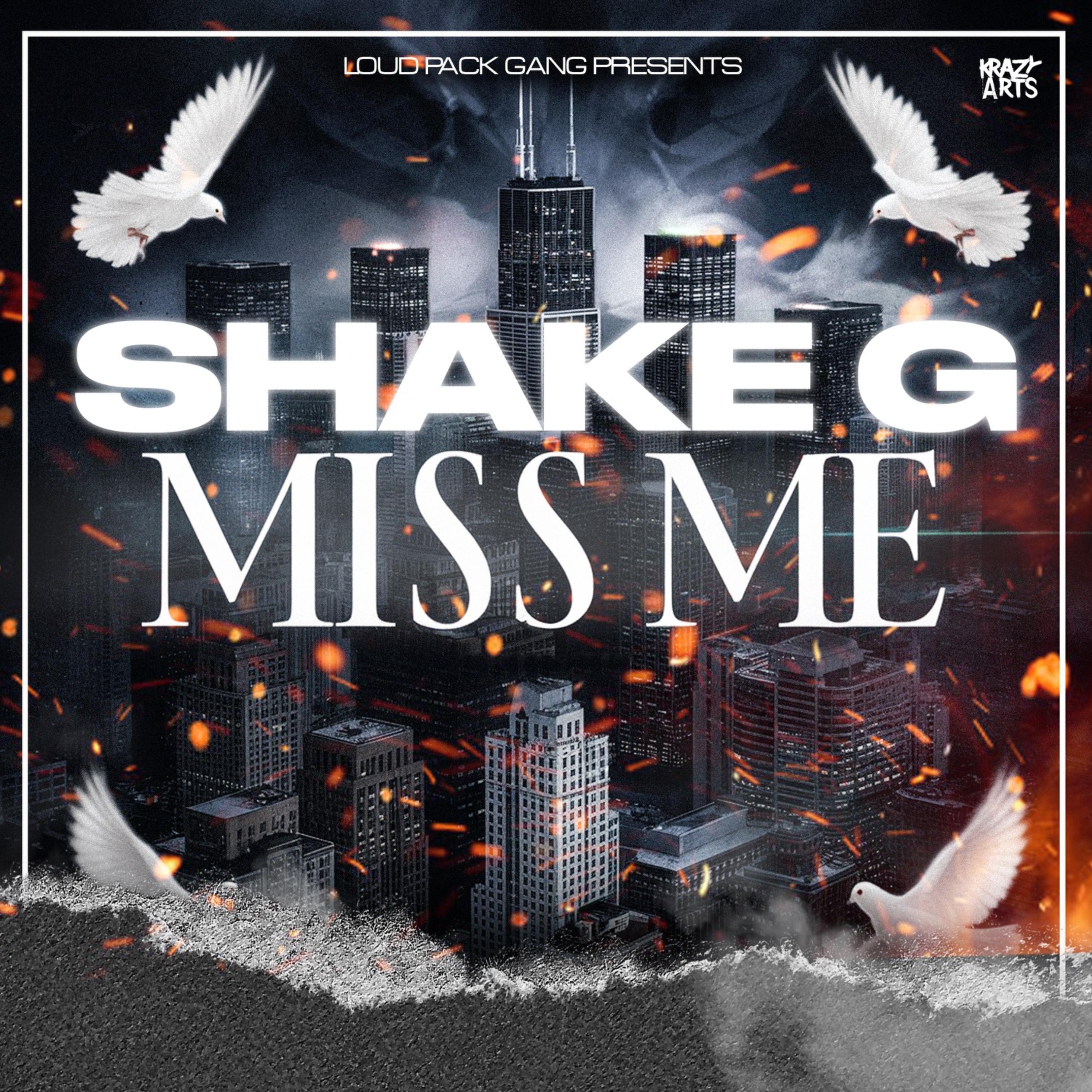 Miss Me artwork